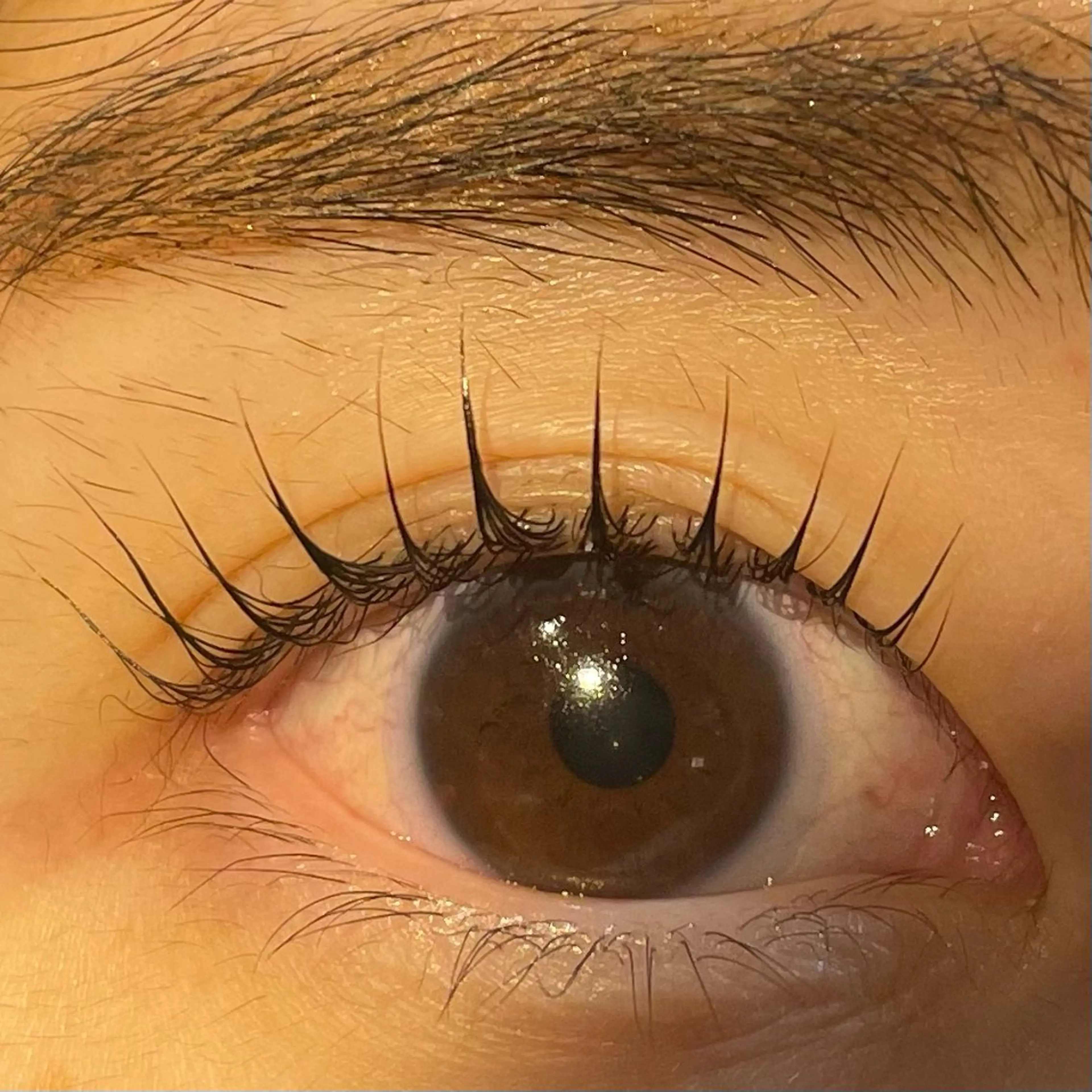 マツエク・マツパ 🫧メンズ特化 🫧 mioのヘアスタイル