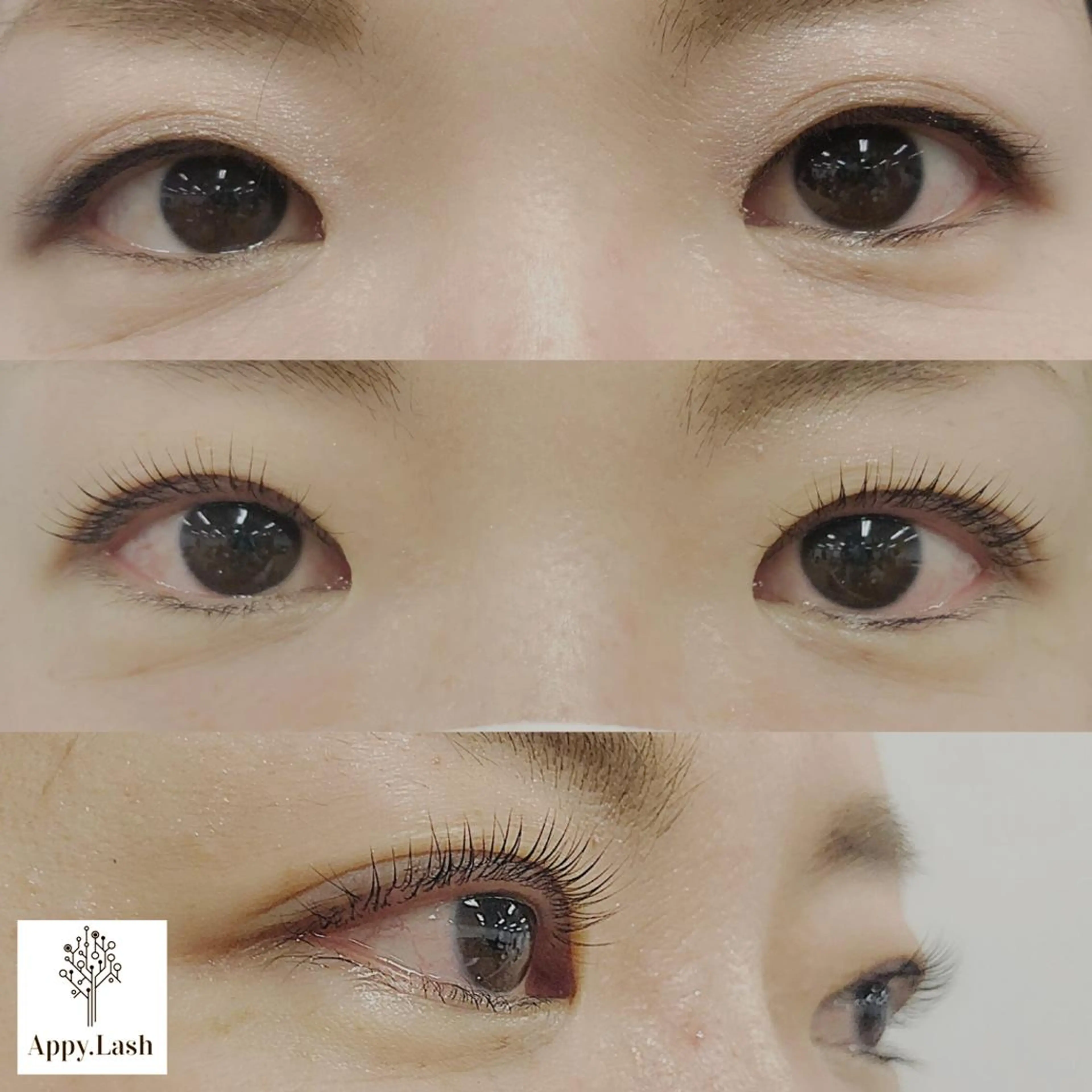 マツエク・マツパ パリジェンヌラッシュリフト 一重×まつ毛パーマ まつげと眉の専門店 Appy.Lashのマツエク・マツパデザイン