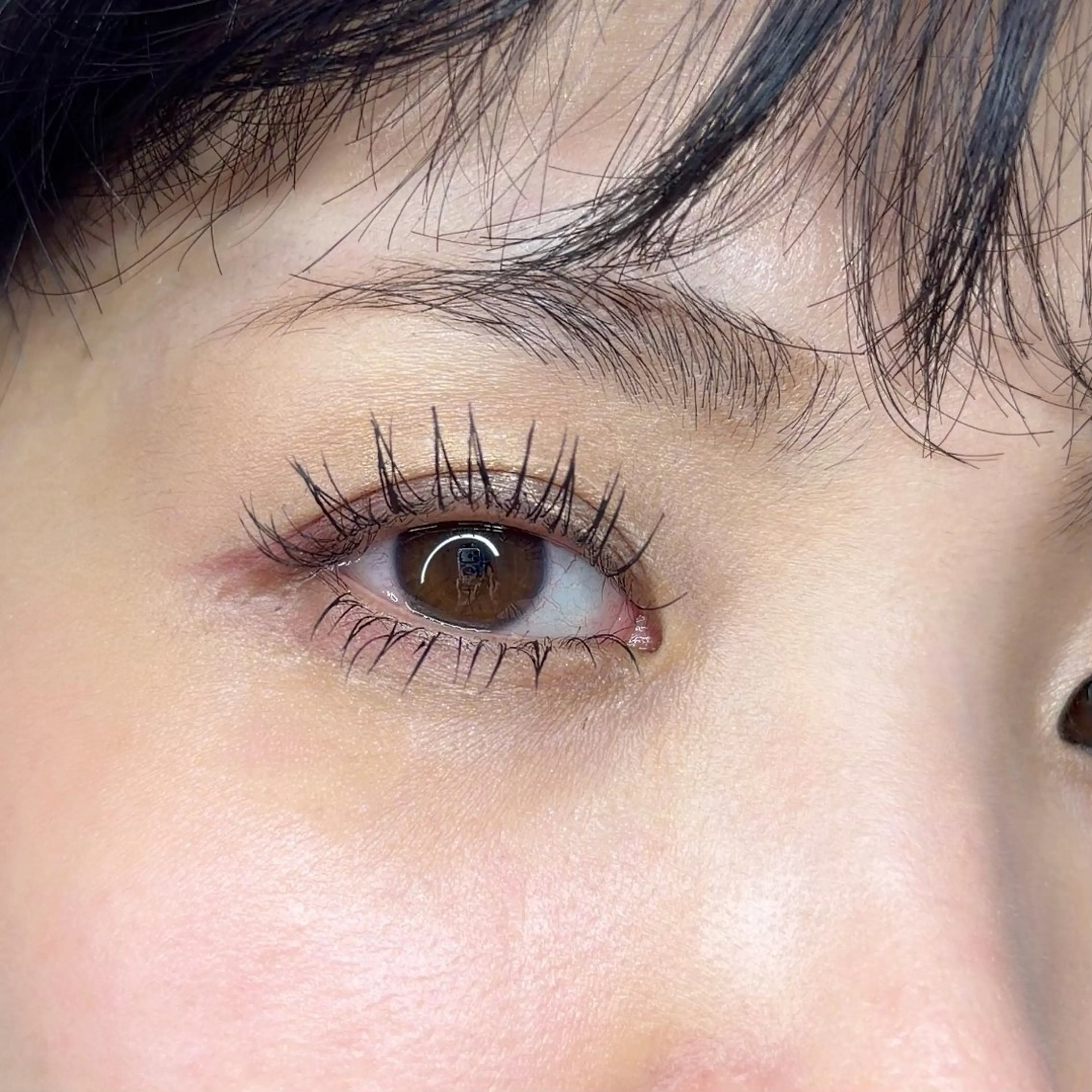 【マツエクで悩んだらコレ♪】フラットマットラッシュ120本　〔オフ無料〕の写真