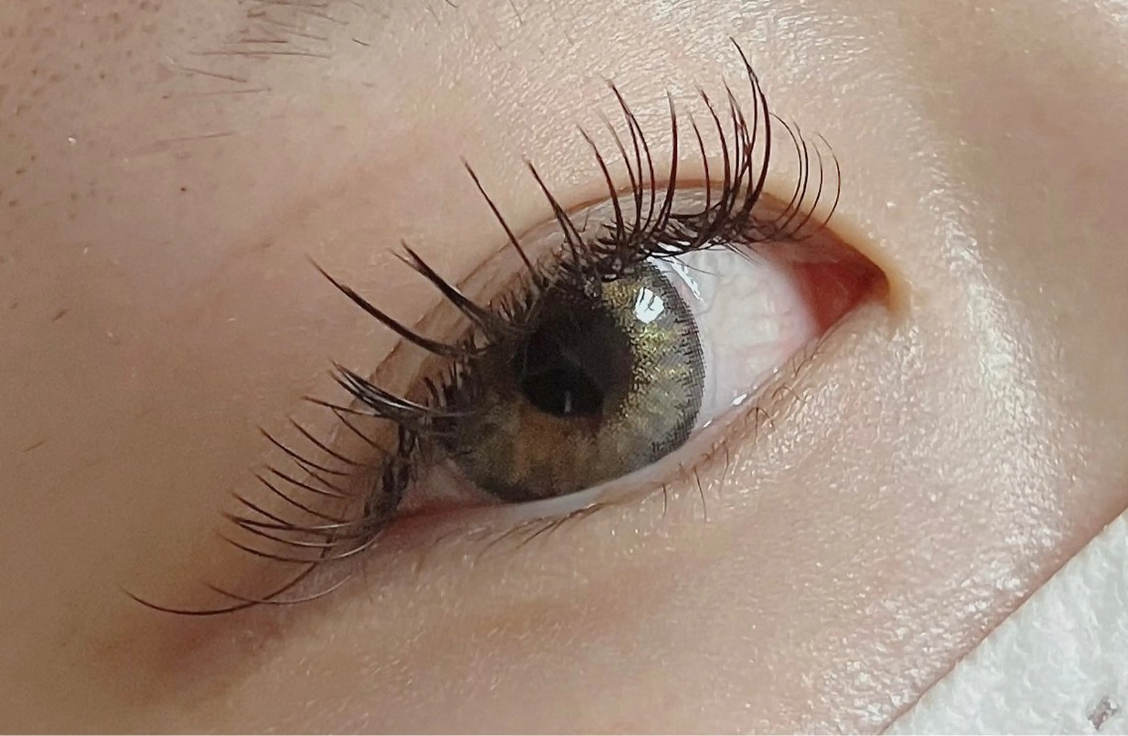 マツエク・マツパ フラットラッシュ Honeybee maayaのマツエク・マツパデザイン