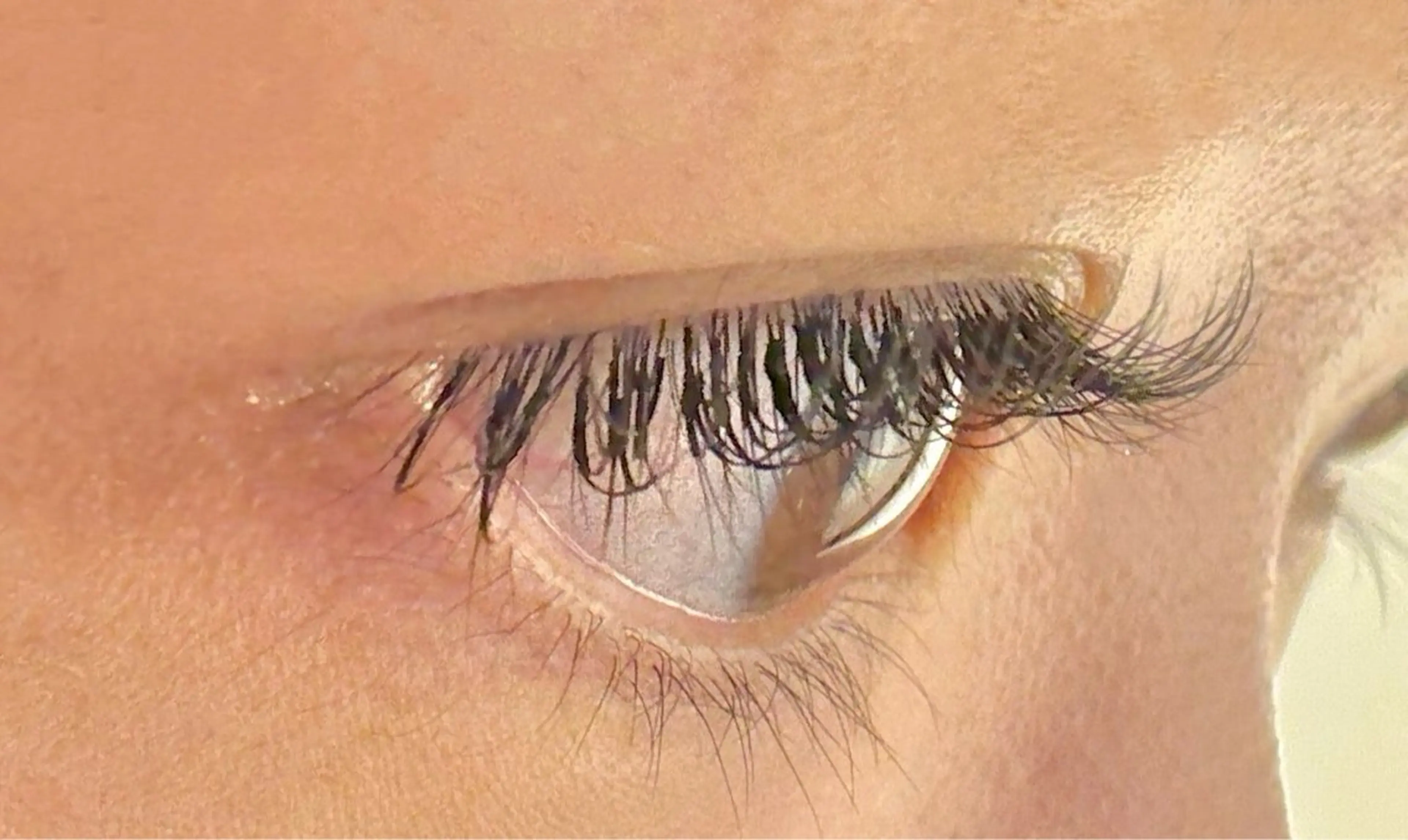 💜SNSで話題(^^♪お客様満足度◎💜LEDマツエク　６０本5900円の写真