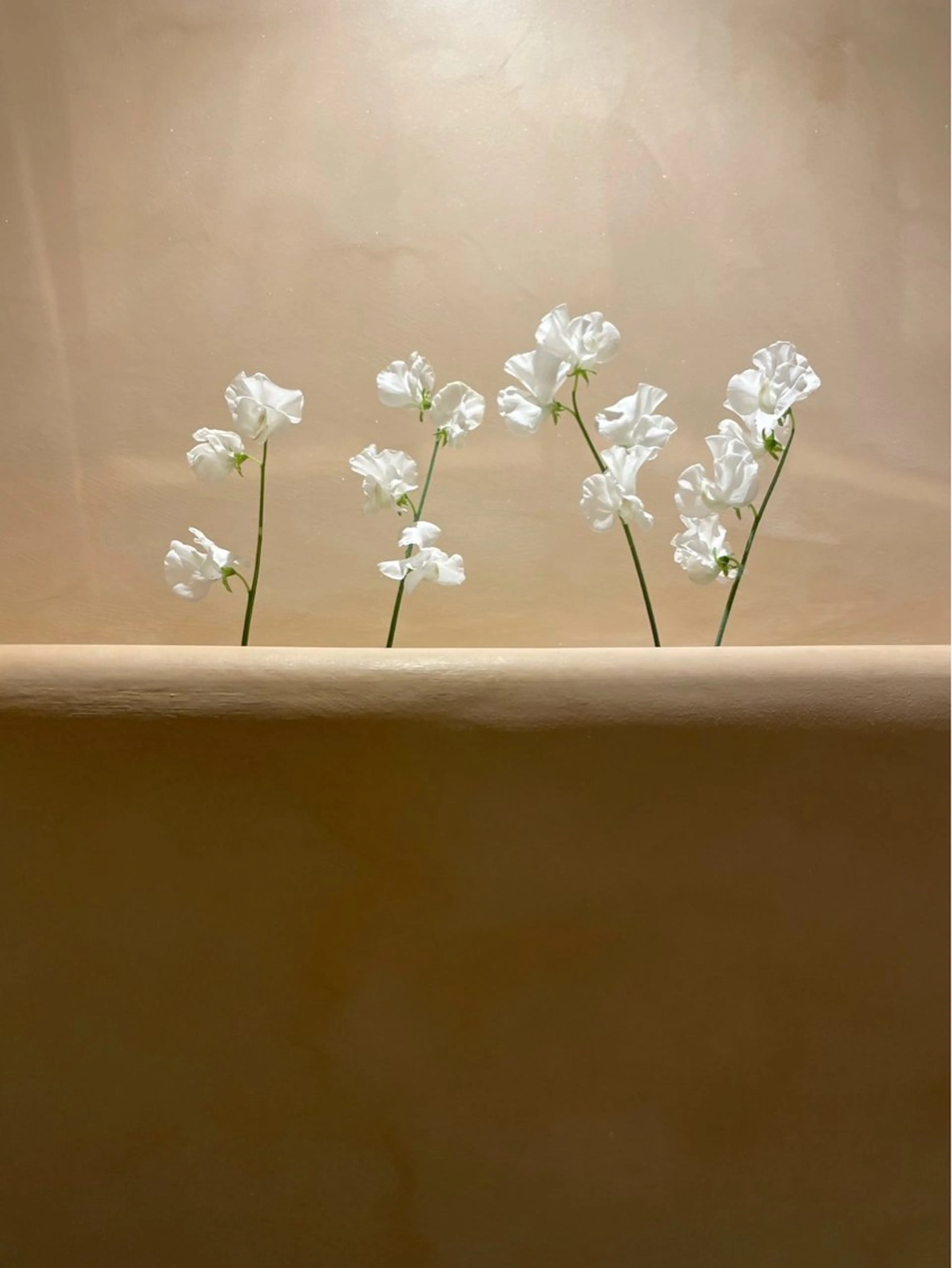 期間限定モデル募集* 【平尾高宮】黒田樹里のヘアスタイル