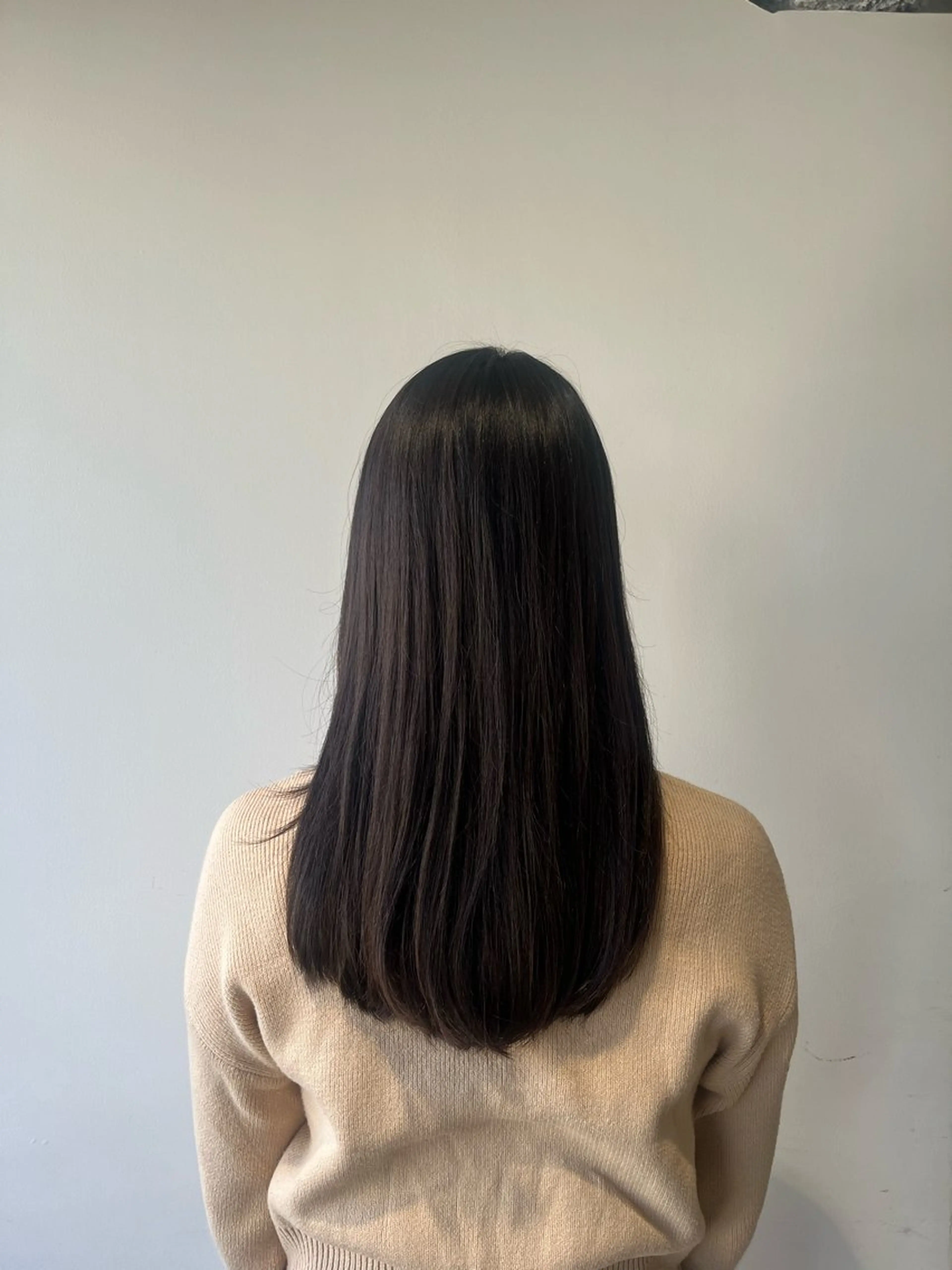 ロング 長野 美沙のヘアスタイル