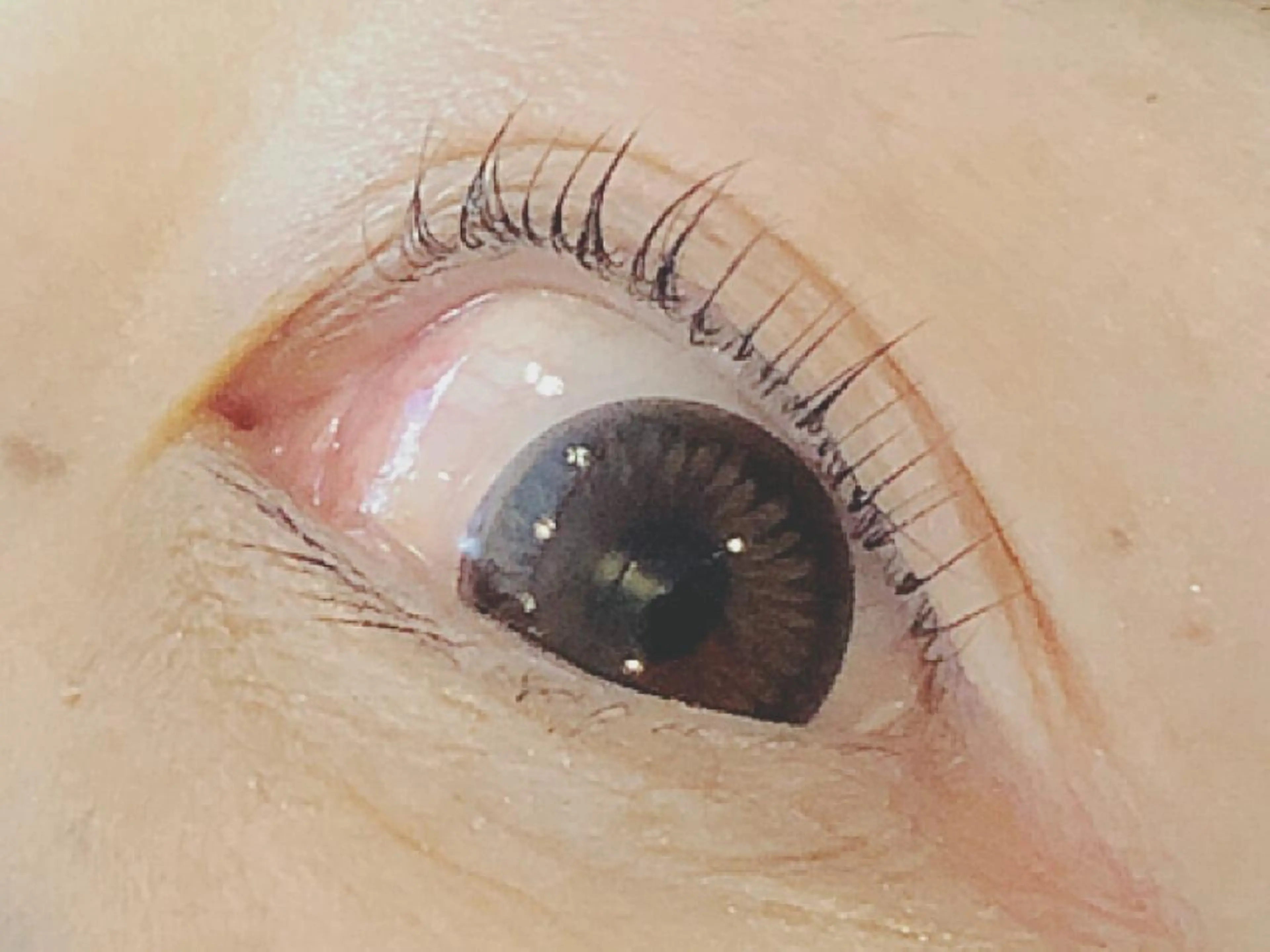 マツエク・マツパ パリジェンヌラッシュリフト 和田 真弥の眉毛・アイブロウイメージ