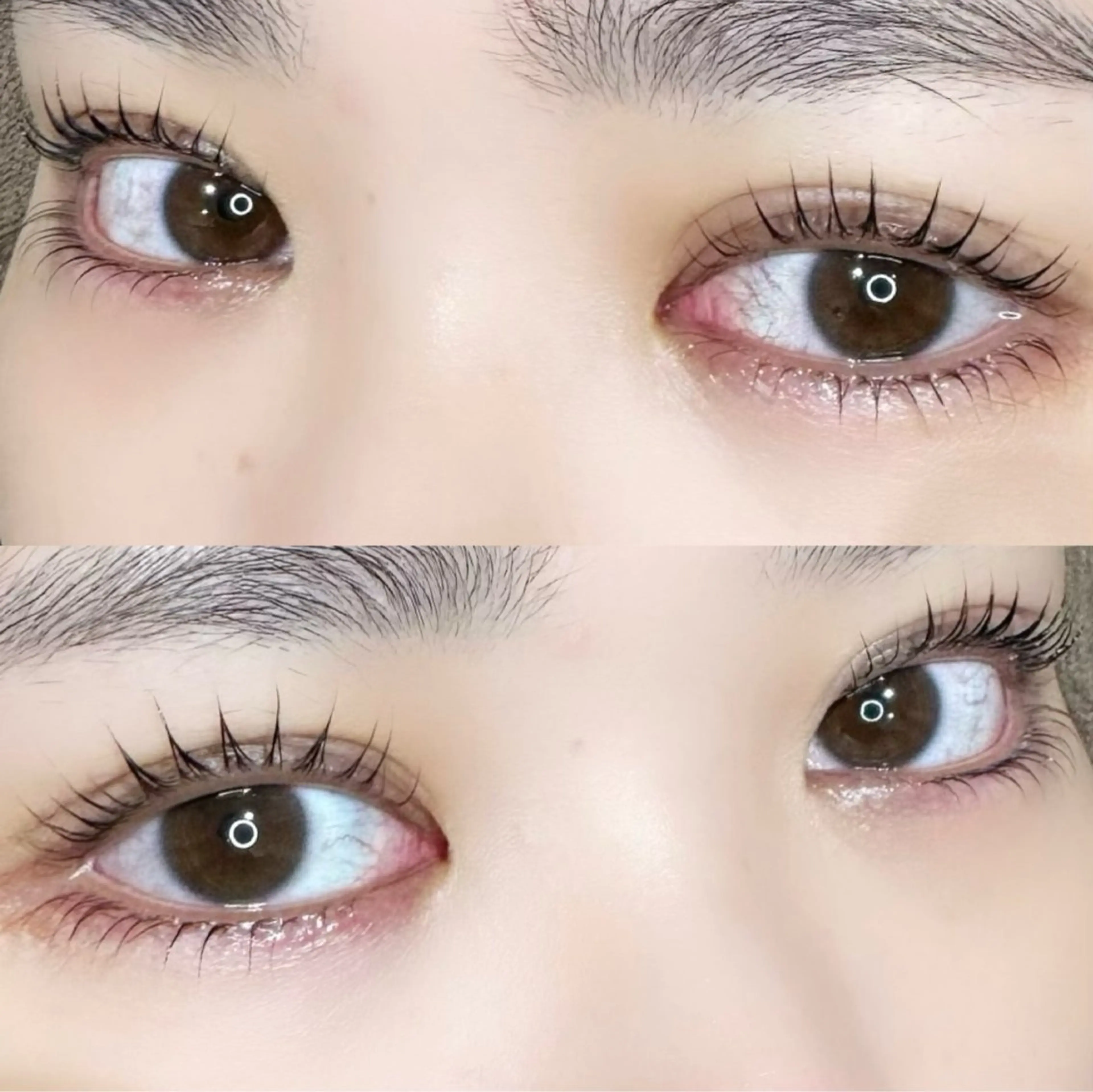 マツエク・マツパ マツパ 🦖fein. YUINA🦕⋆͛のマツエク・マツパデザイン