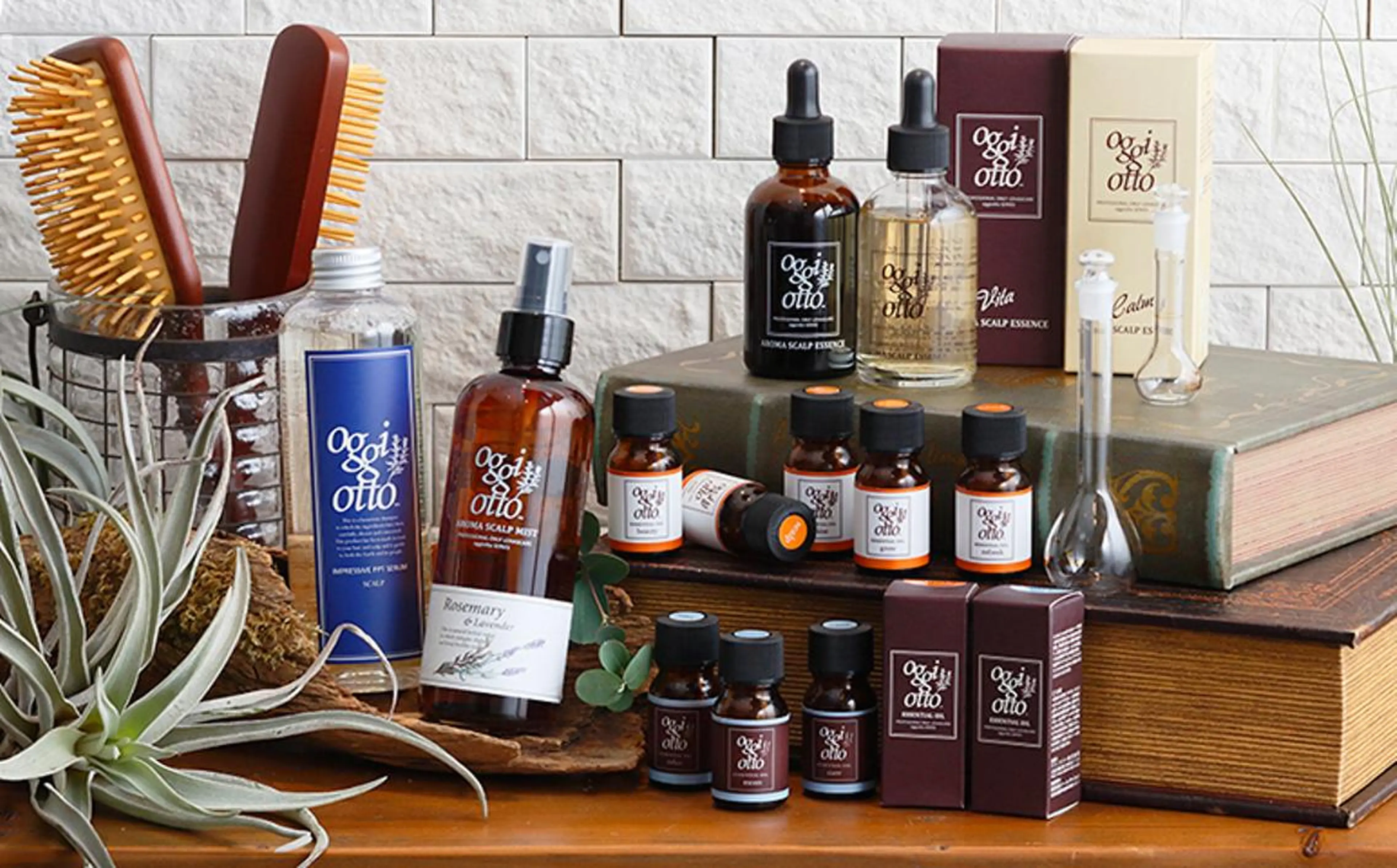 ロング 竹内 春奈のヘアスタイル