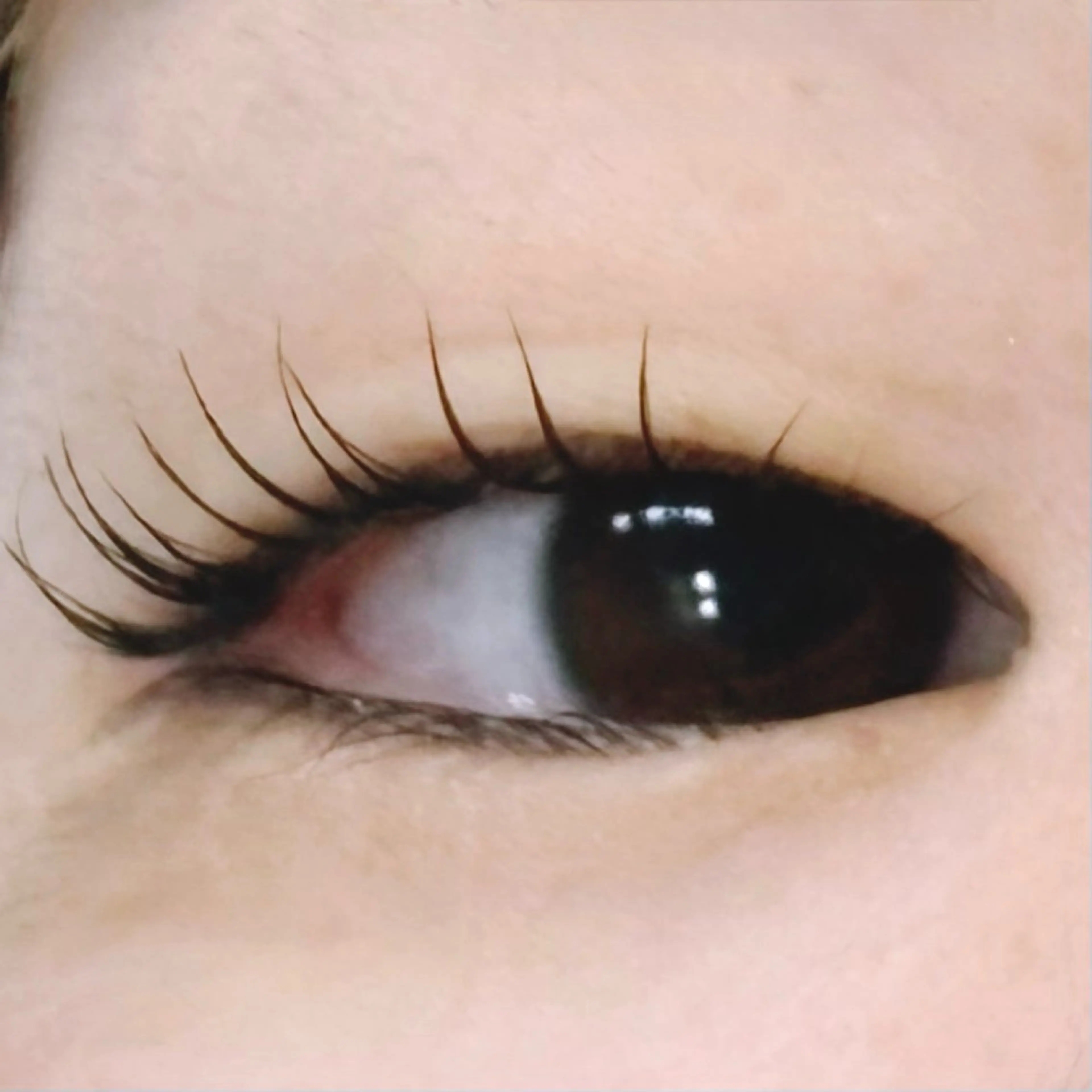 マツエク・マツパ 一重×まつ毛パーマ chiho 🍀まつ毛パーマのマツエク・マツパデザイン