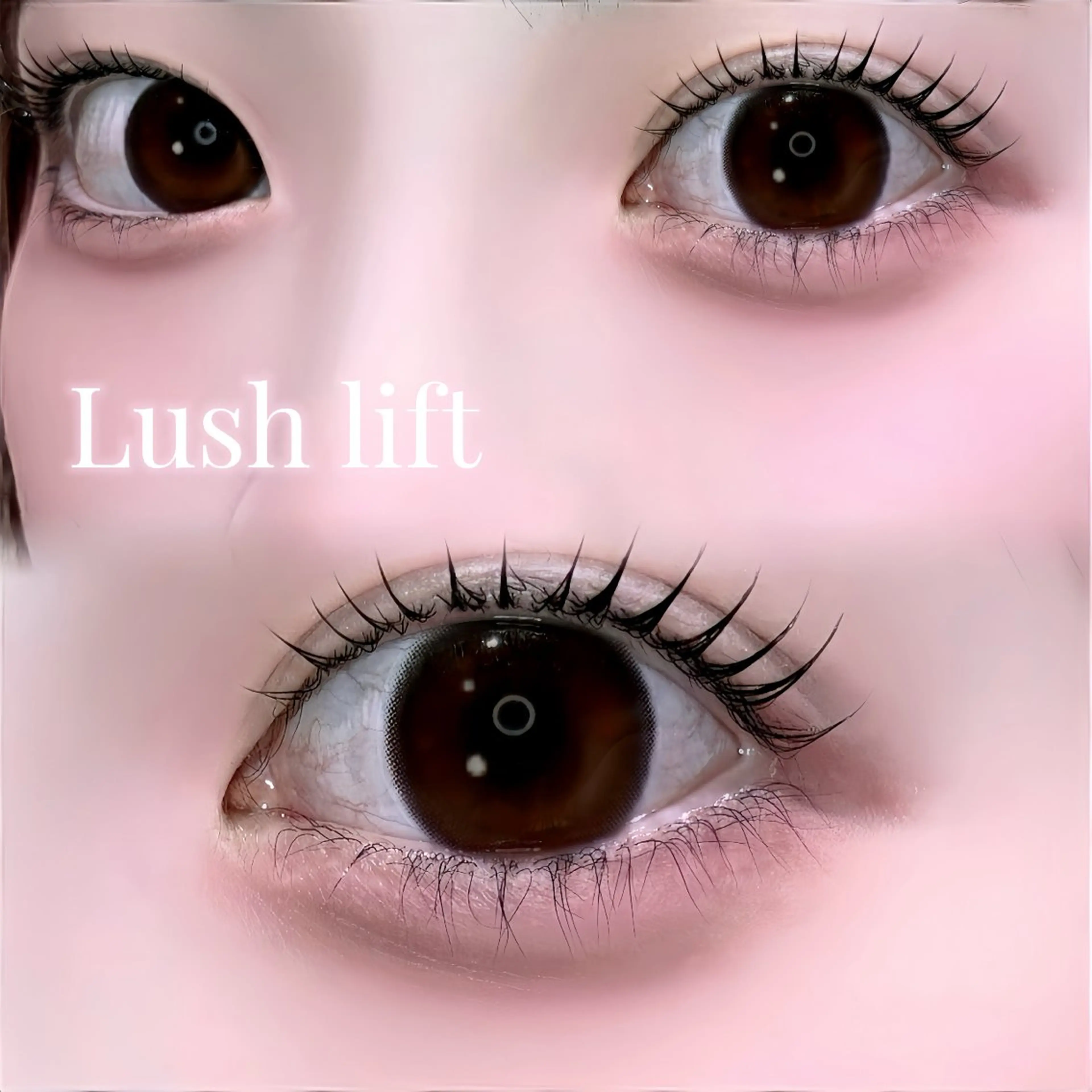 マツエク・マツパ 🌙🧸fein. Miu🧸🌙のマツエク・マツパデザイン