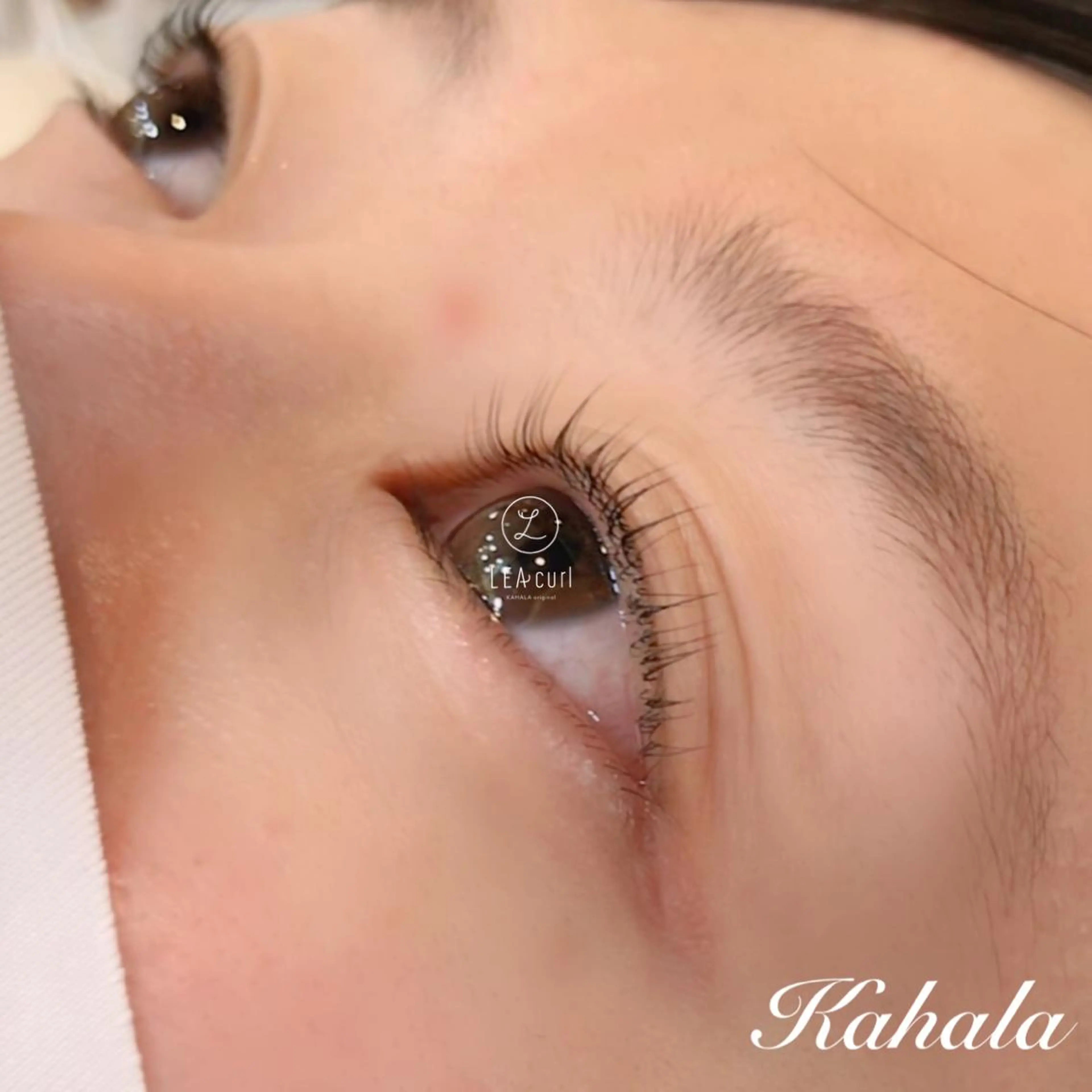 マツエク・マツパ Fujimoto 🦭⸝⋆꙳のマツエク・マツパデザイン