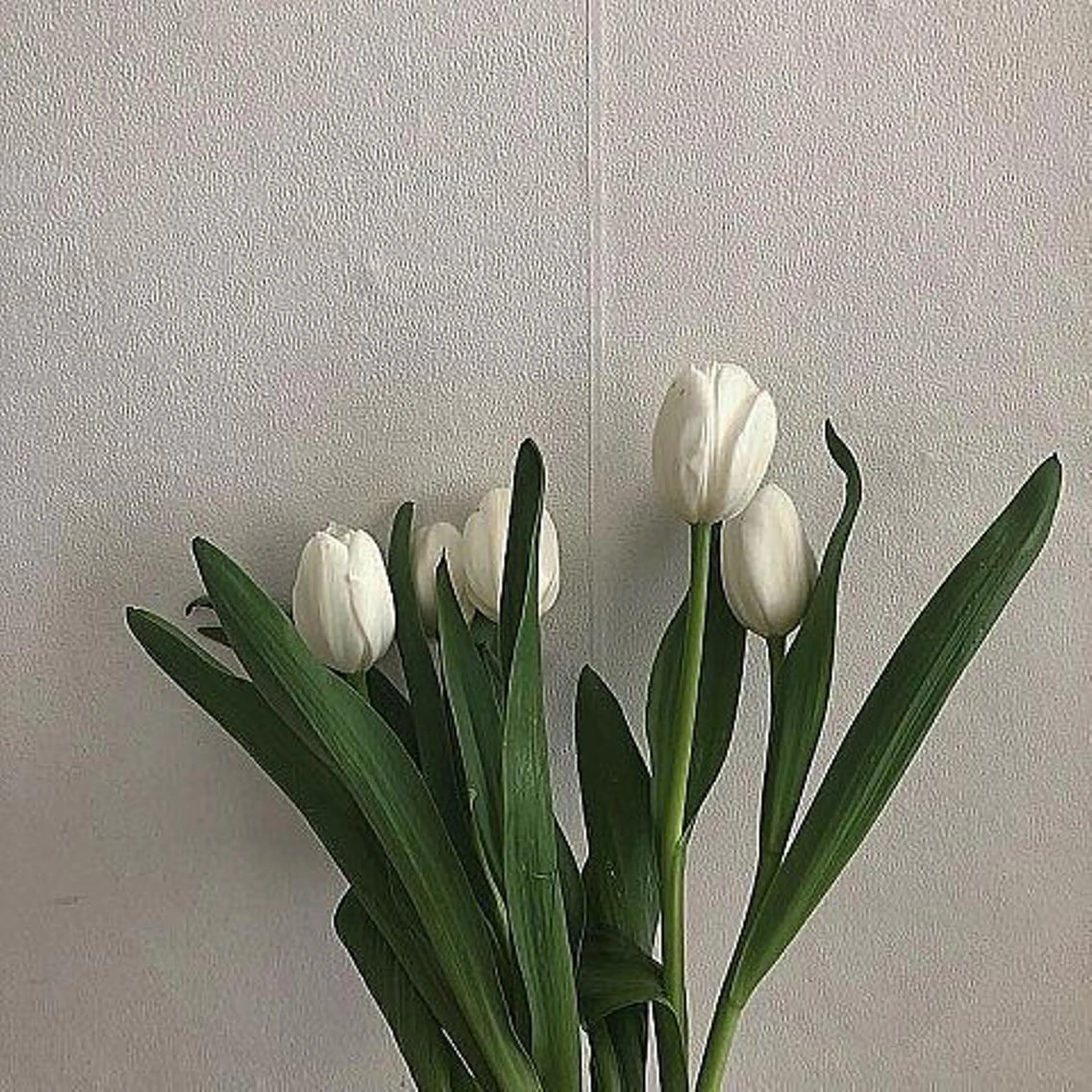 セミロング カラー アッシュ ベージュカラー 黒髪 ブルーカラー ブルーブラック 透明感/韓国風 🤍moeka🤍のヘアスタイル