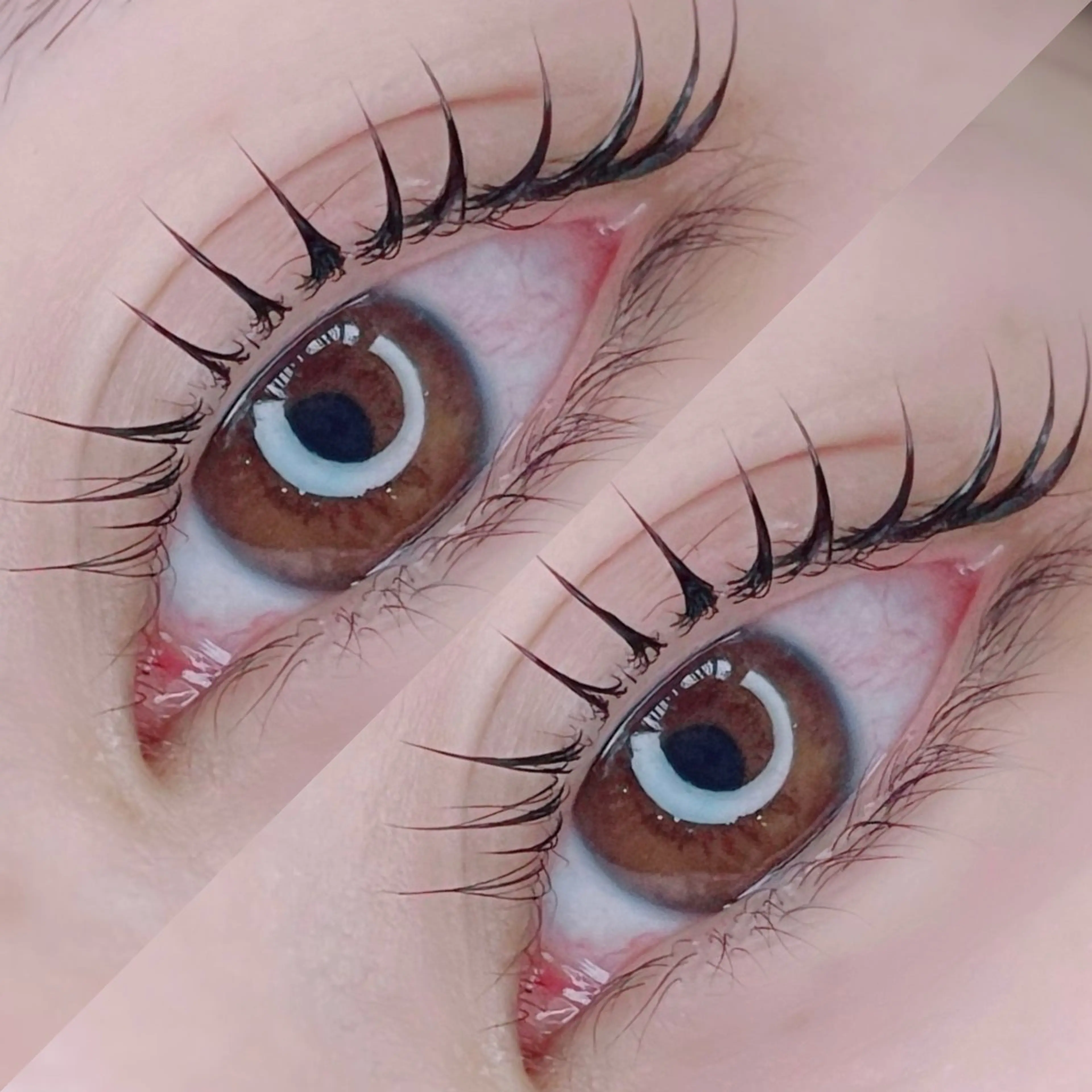 マツエク・マツパ 垢抜け眉WAX専門 ちゅるんまつげ|鎌倉の眉毛・アイブロウイメージ