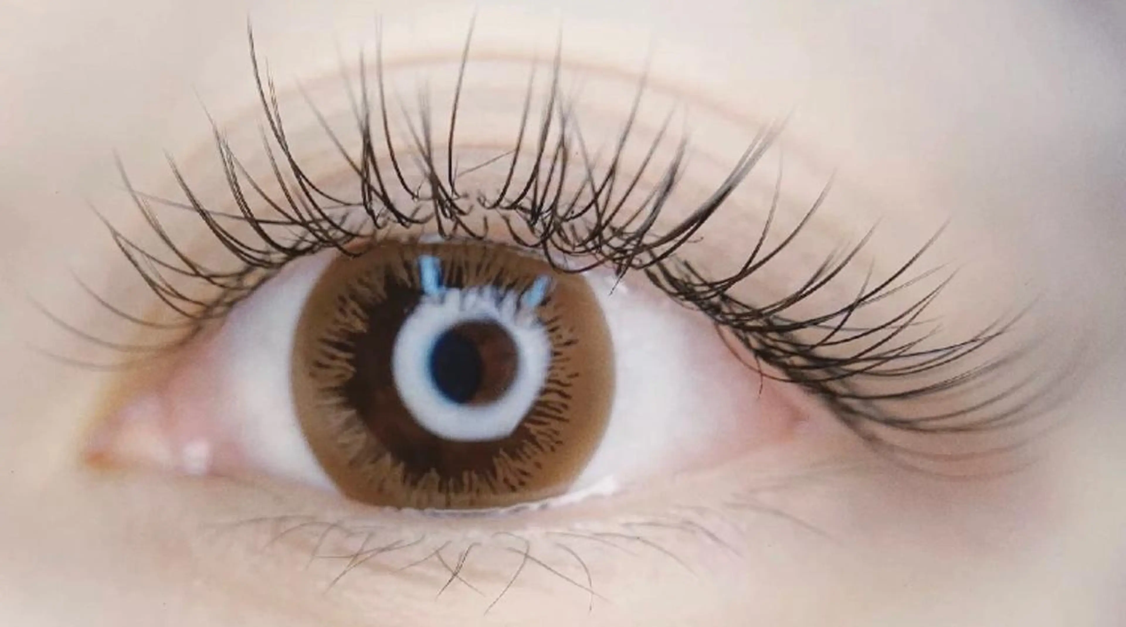 [🏹minimo限定👼🏼]パリエク☁️パリジェンヌラッシュリフト＋フラットラッシュ120本🧸今流行りのパリエクの写真