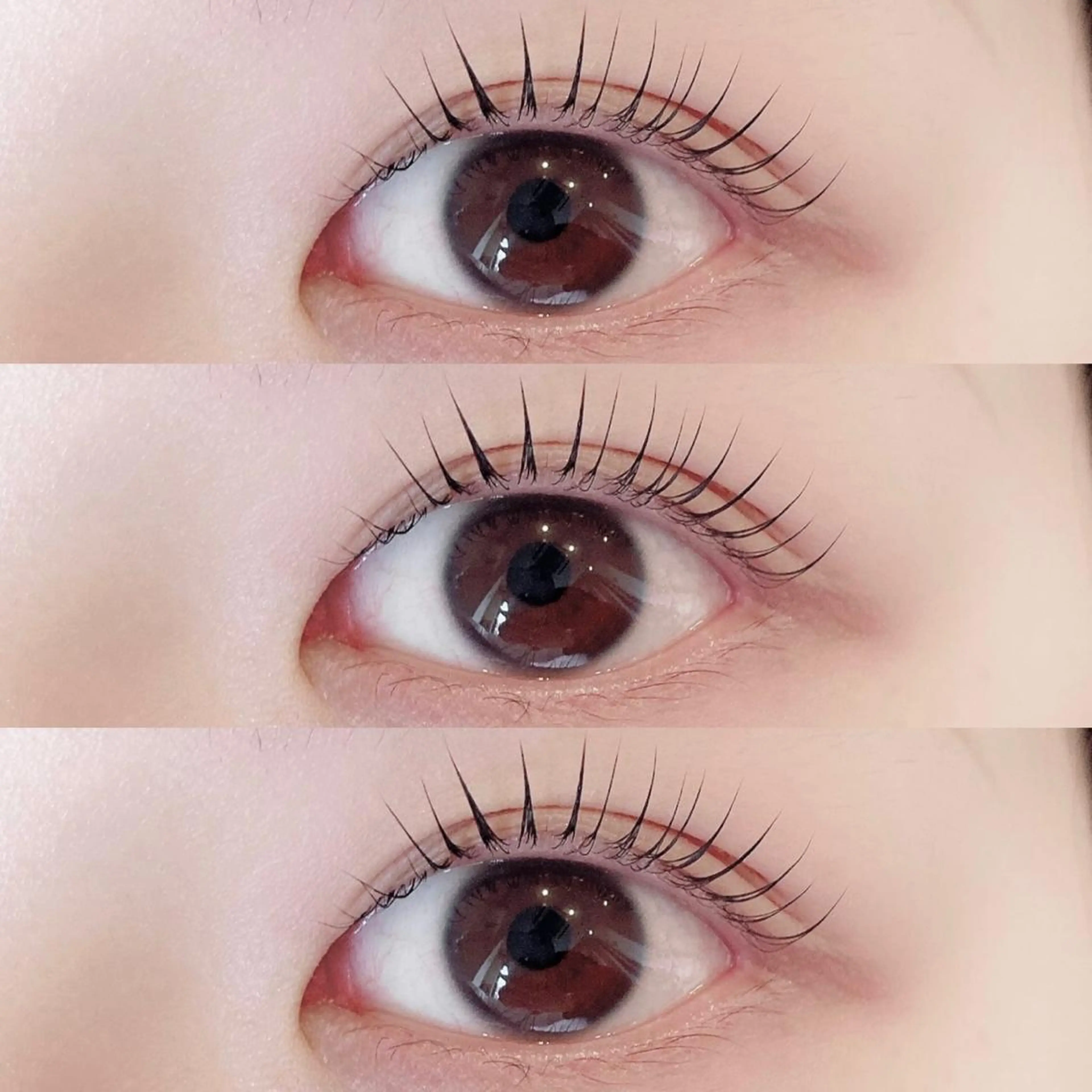 マツエク・マツパ マツパ 束感/LED/まつパ 🌼segawaのマツエク・マツパデザイン