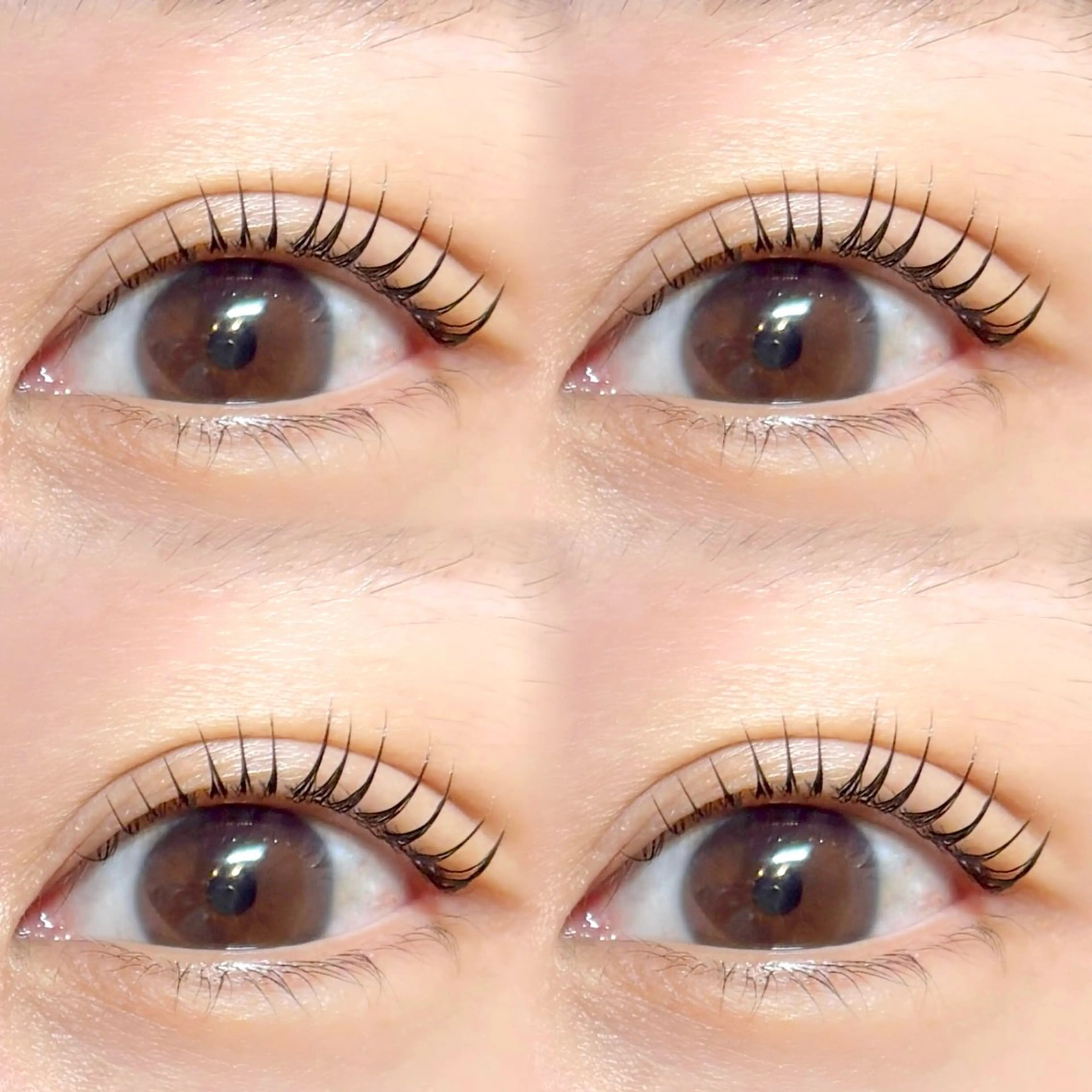 マツエク・マツパ ナチュラル パリジェンヌラッシュリフト まつげパーマ 一重×まつ毛パーマ 表参道eyelist KONOMIのマツエク・マツパデザイン