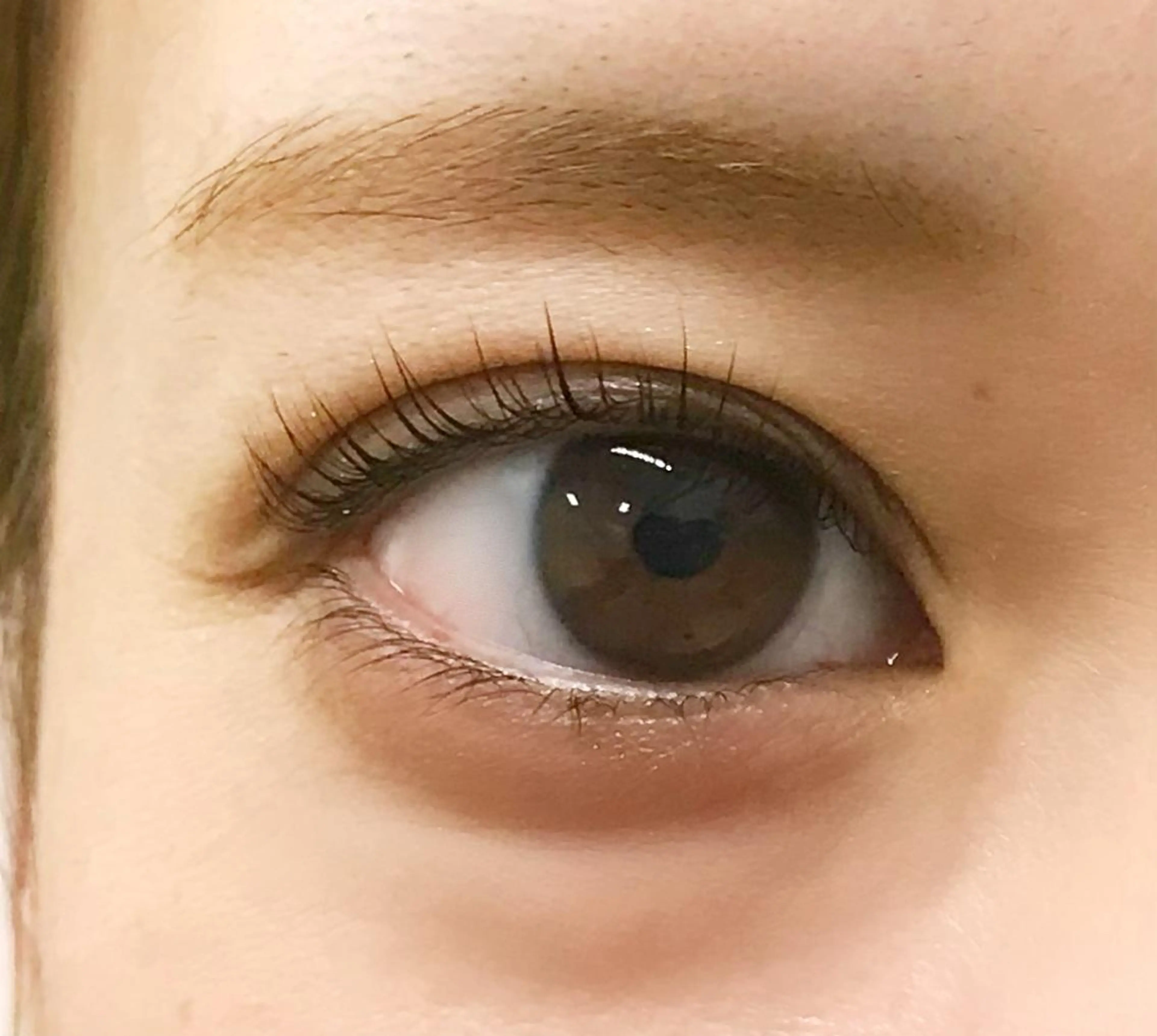 パリジェンヌラッシュリフト🌈の写真