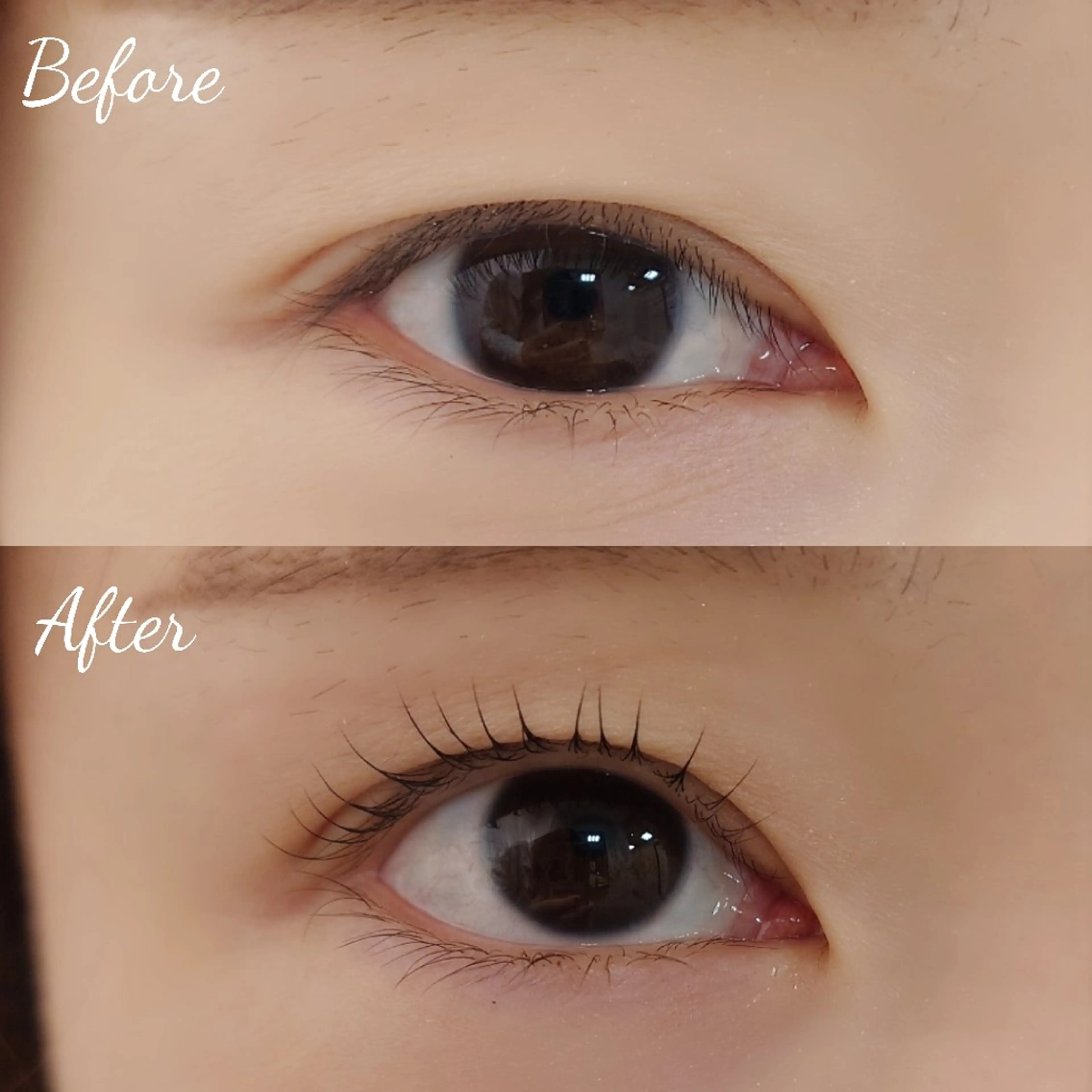 マツエク・マツパ 一重×まつ毛パーマ マツパ tico 🌱shiori🌱のヘアスタイル