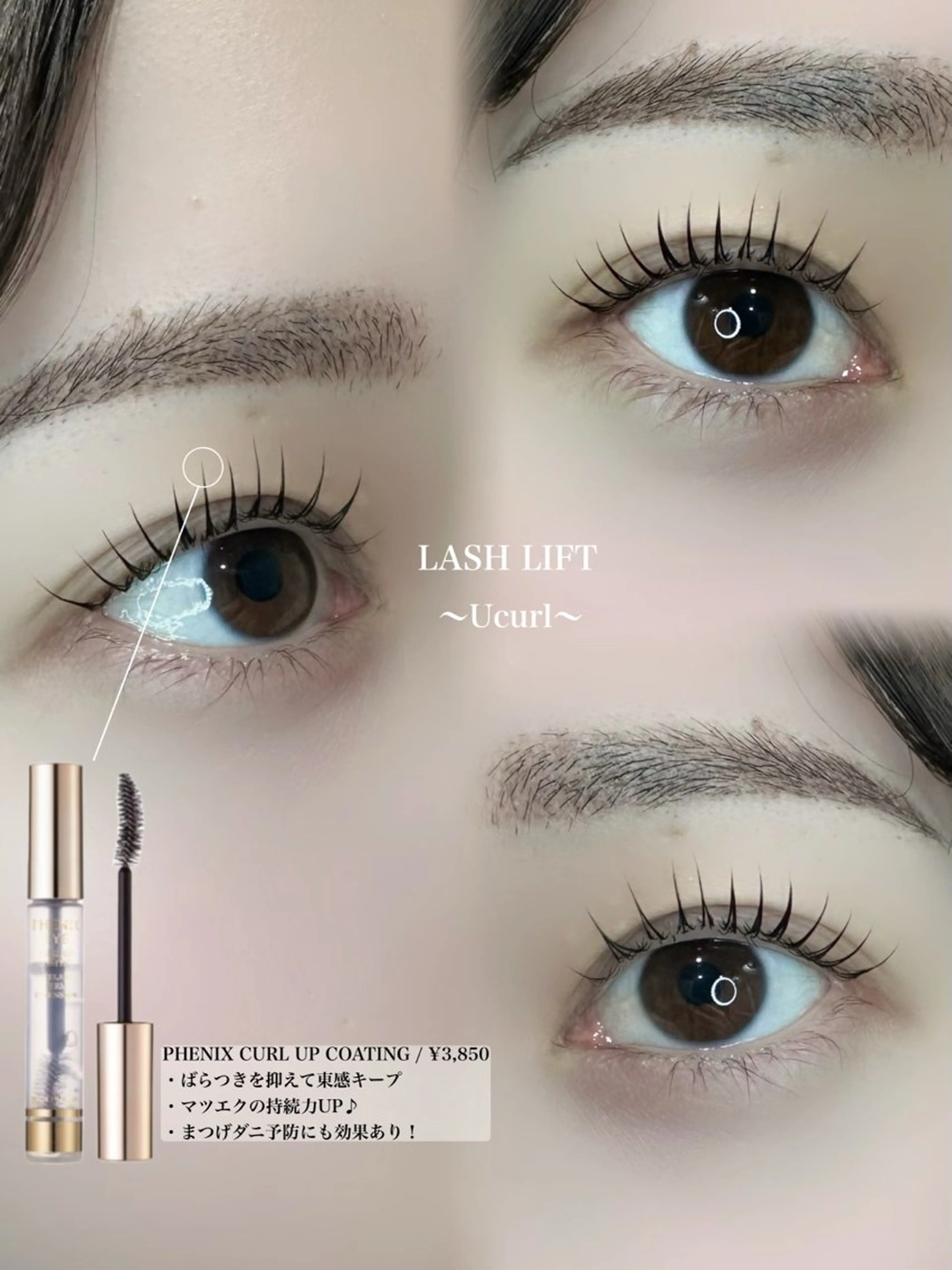 マツエク・マツパ Laurel eye ローレルのマツエク・マツパデザイン