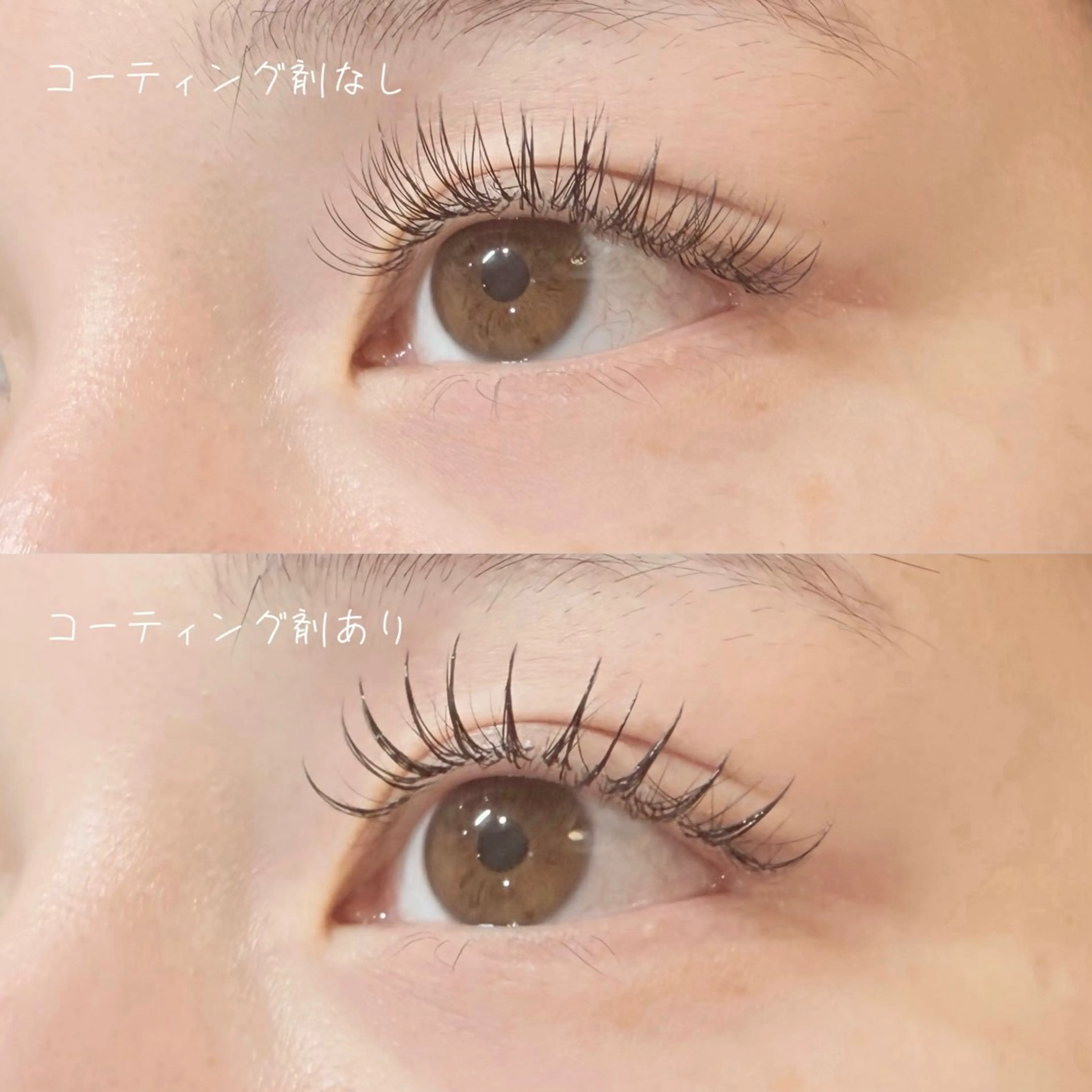 LEDマツエク🌷フラットラッシュ100本の写真