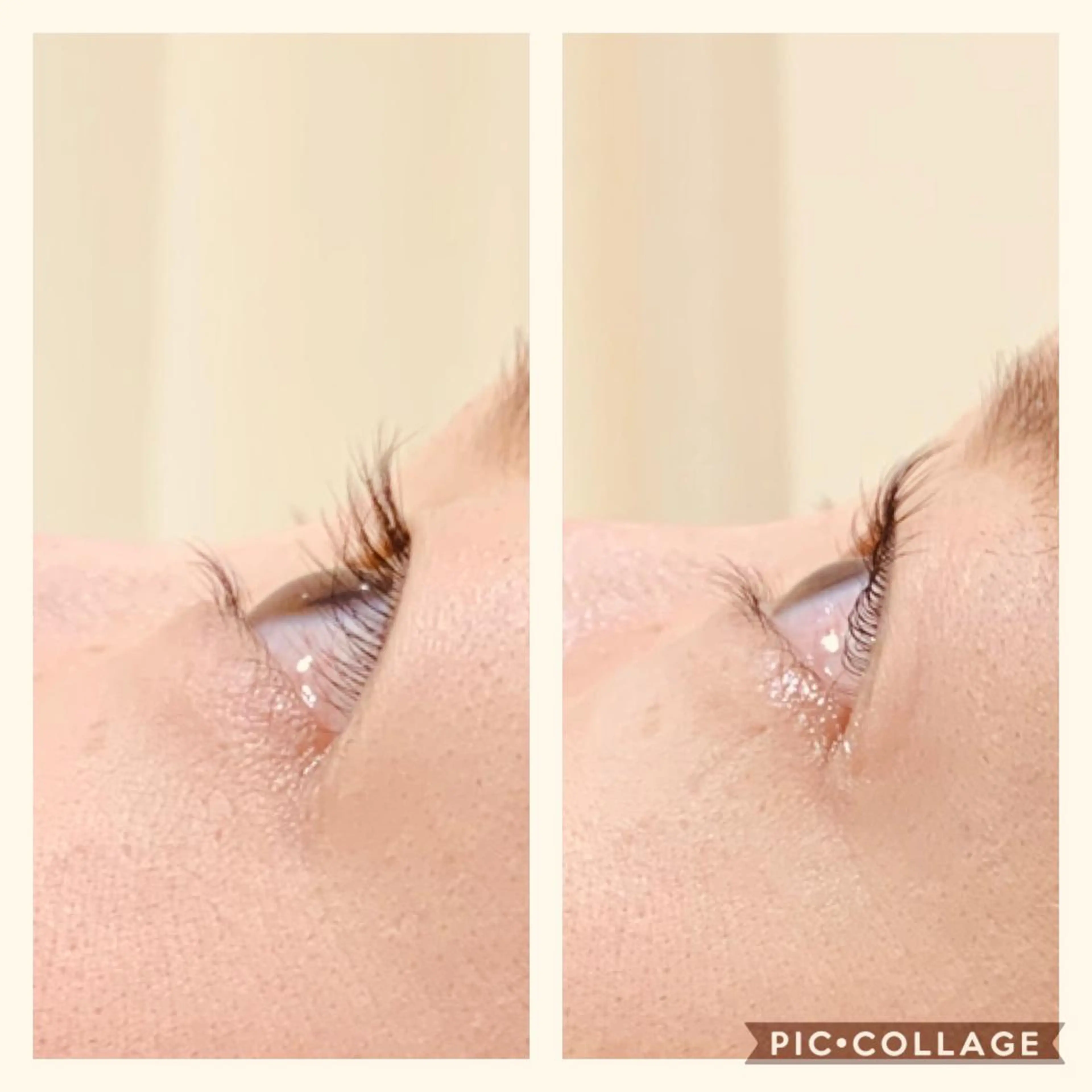 マツエク・マツパ Daisy hair eyelashのマツエク・マツパデザイン