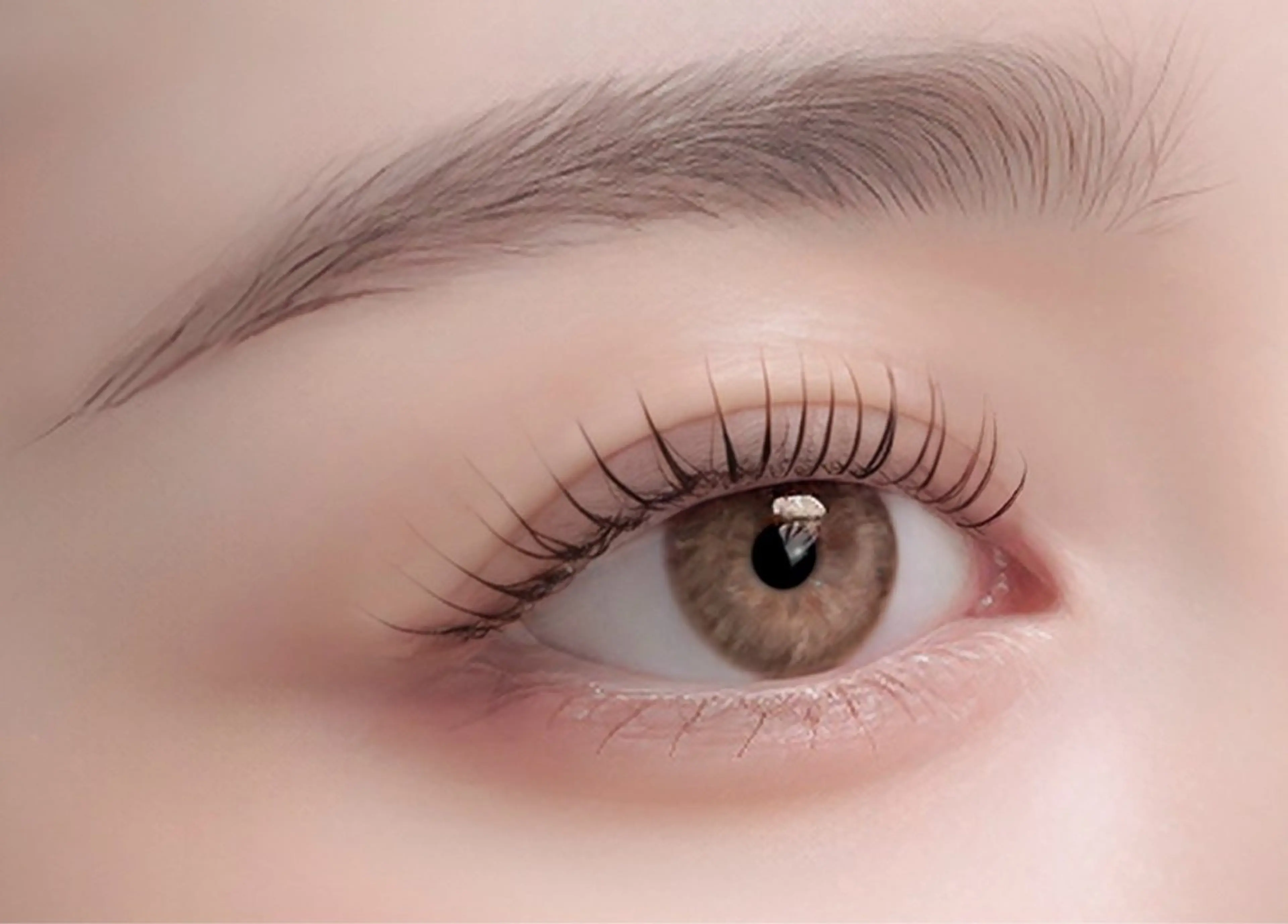 【HBL】ハリウッドブロウ🫶💛の写真