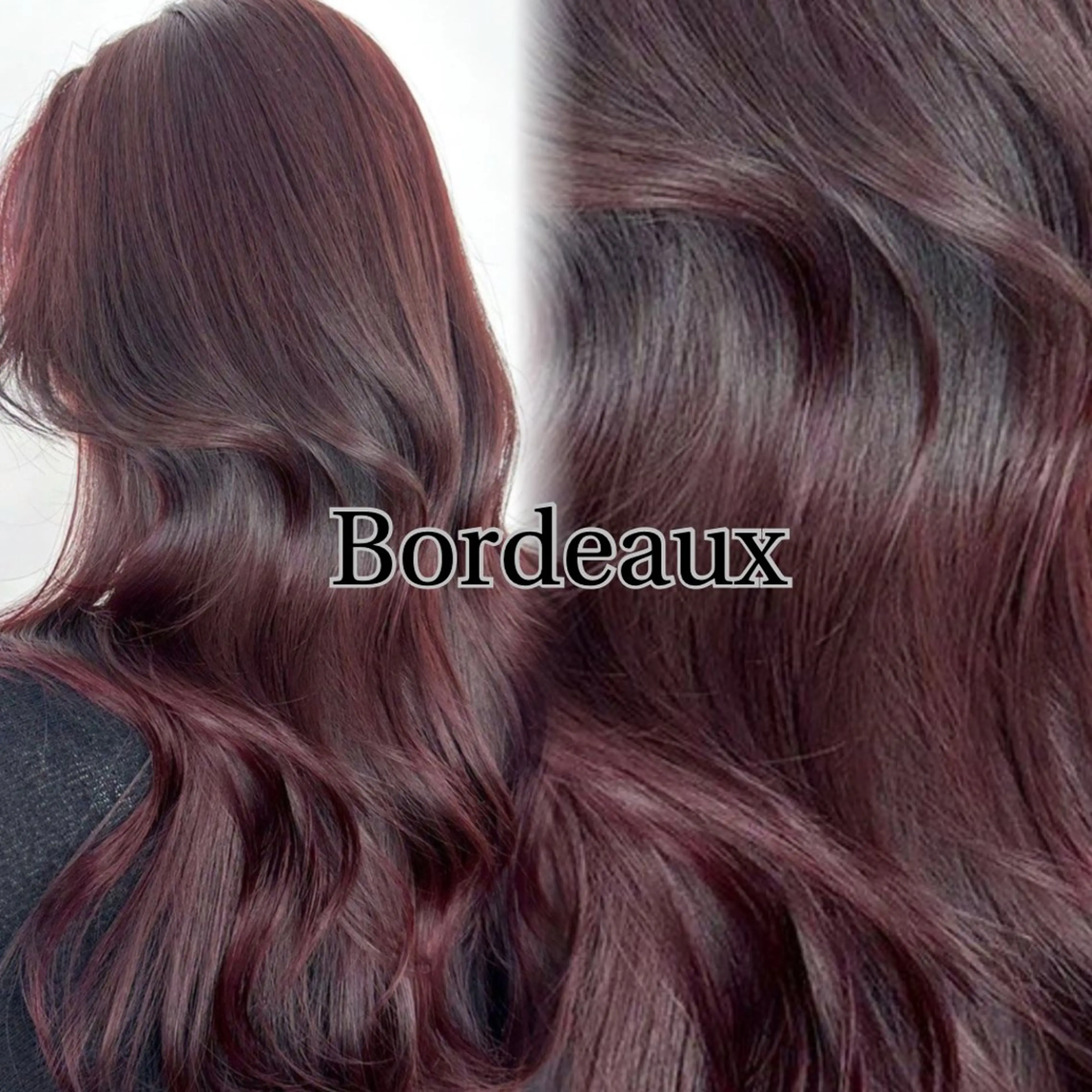 セミロング カラー RYU/レイヤーカッ ト/透明感艶カラー/のヘアスタイル