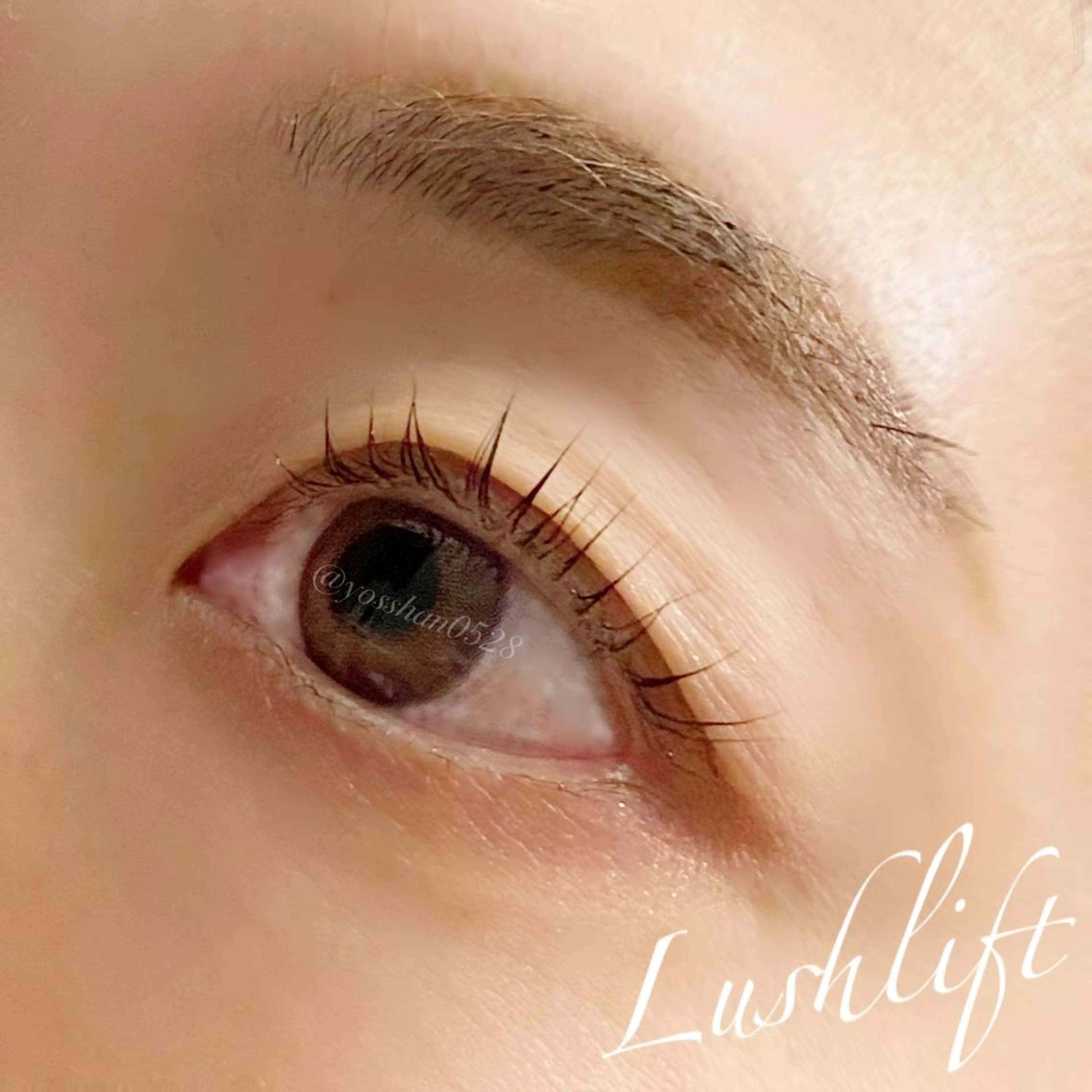 マツエク・マツパ マツパ Pixie Bob 🐈‍⬛　位田のマツエク・マツパデザイン