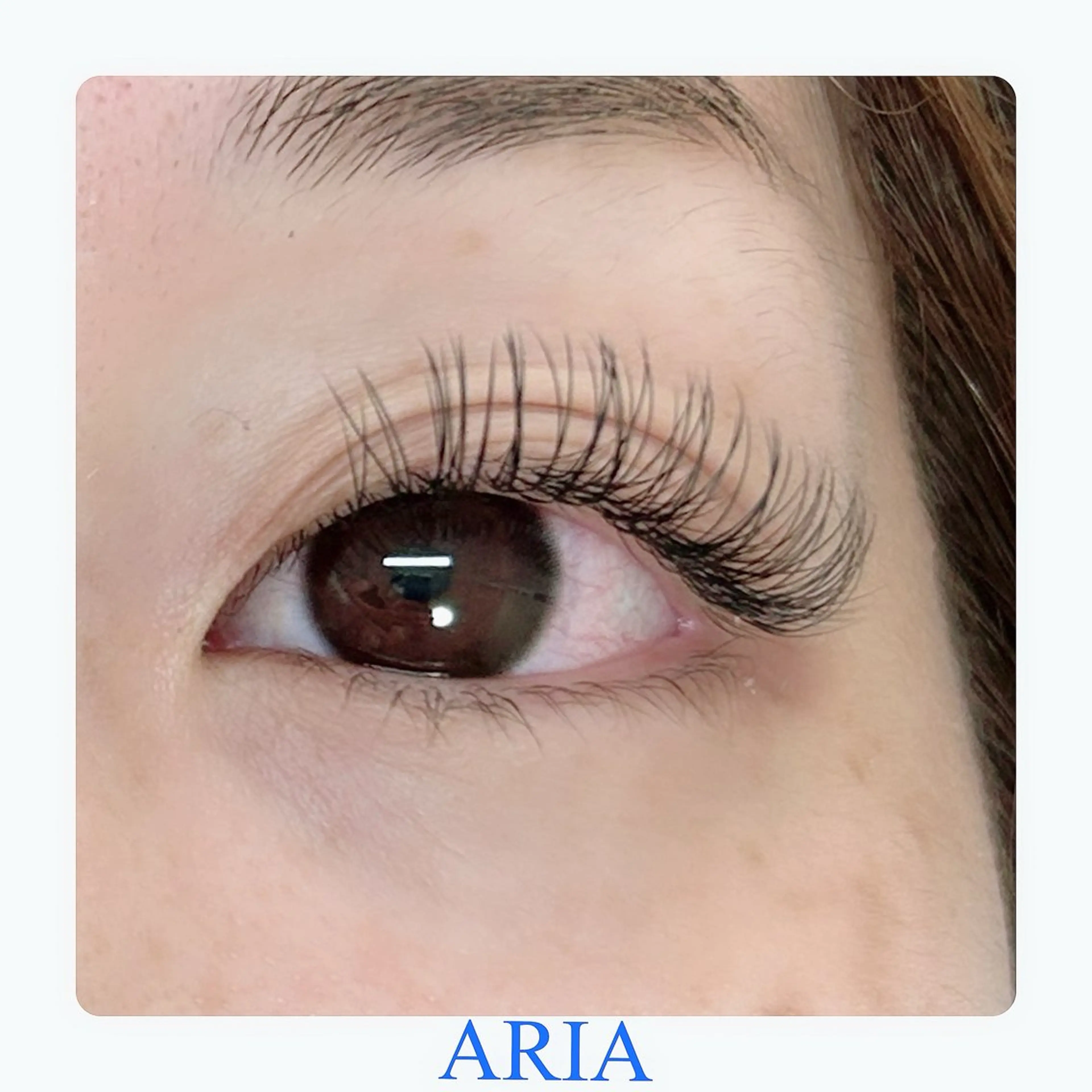 マツエク・マツパ Dカール フラットラッシュ マツエク ARIA所属・ARIAプライベート サロン五反田のマツエク・マツパデザイン