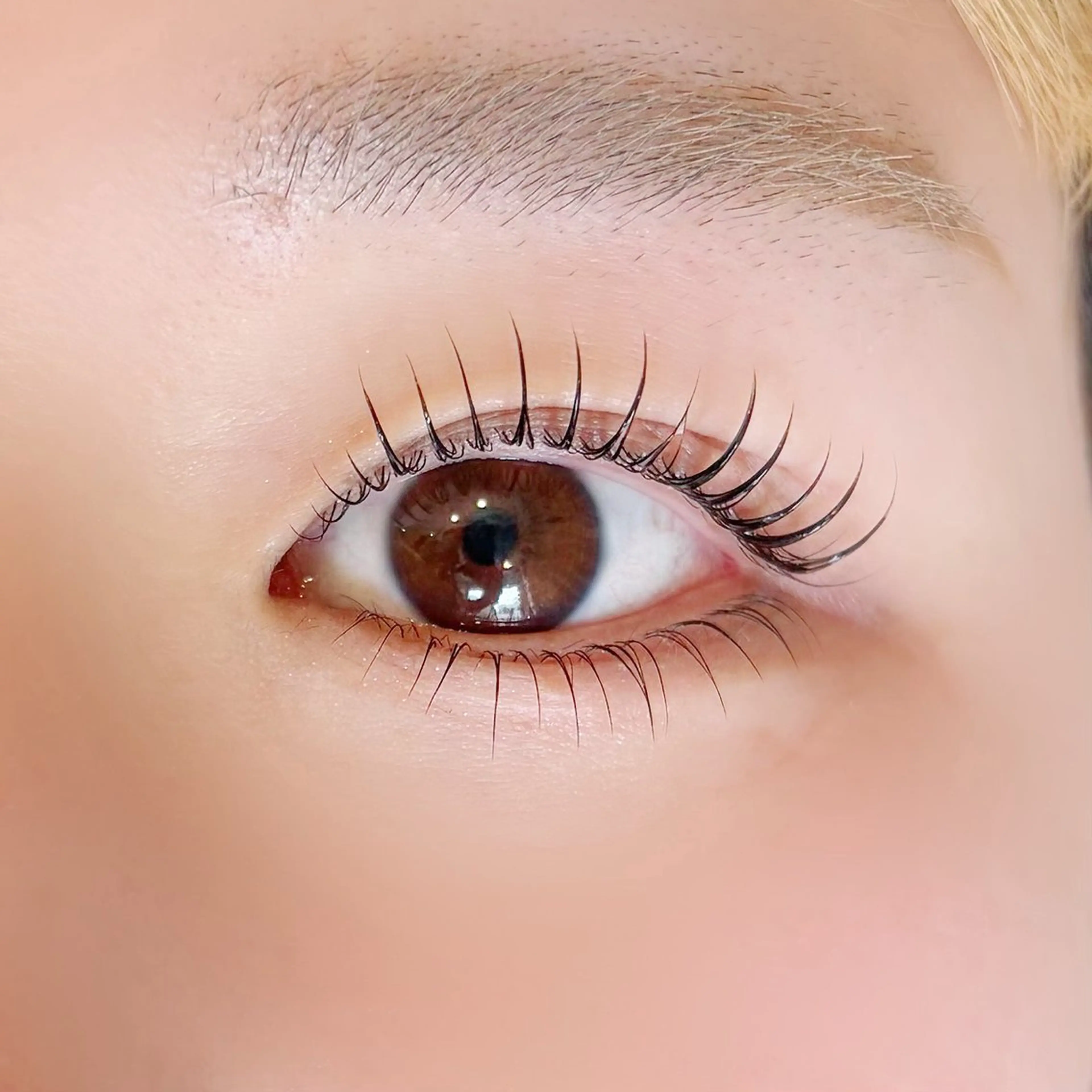 マツエク・マツパ パリジェンヌラッシュリフト マツパ 𝙪𝙧𝙪︎︎🪞 ⌇似合わせ×高持続の眉毛・アイブロウイメージ