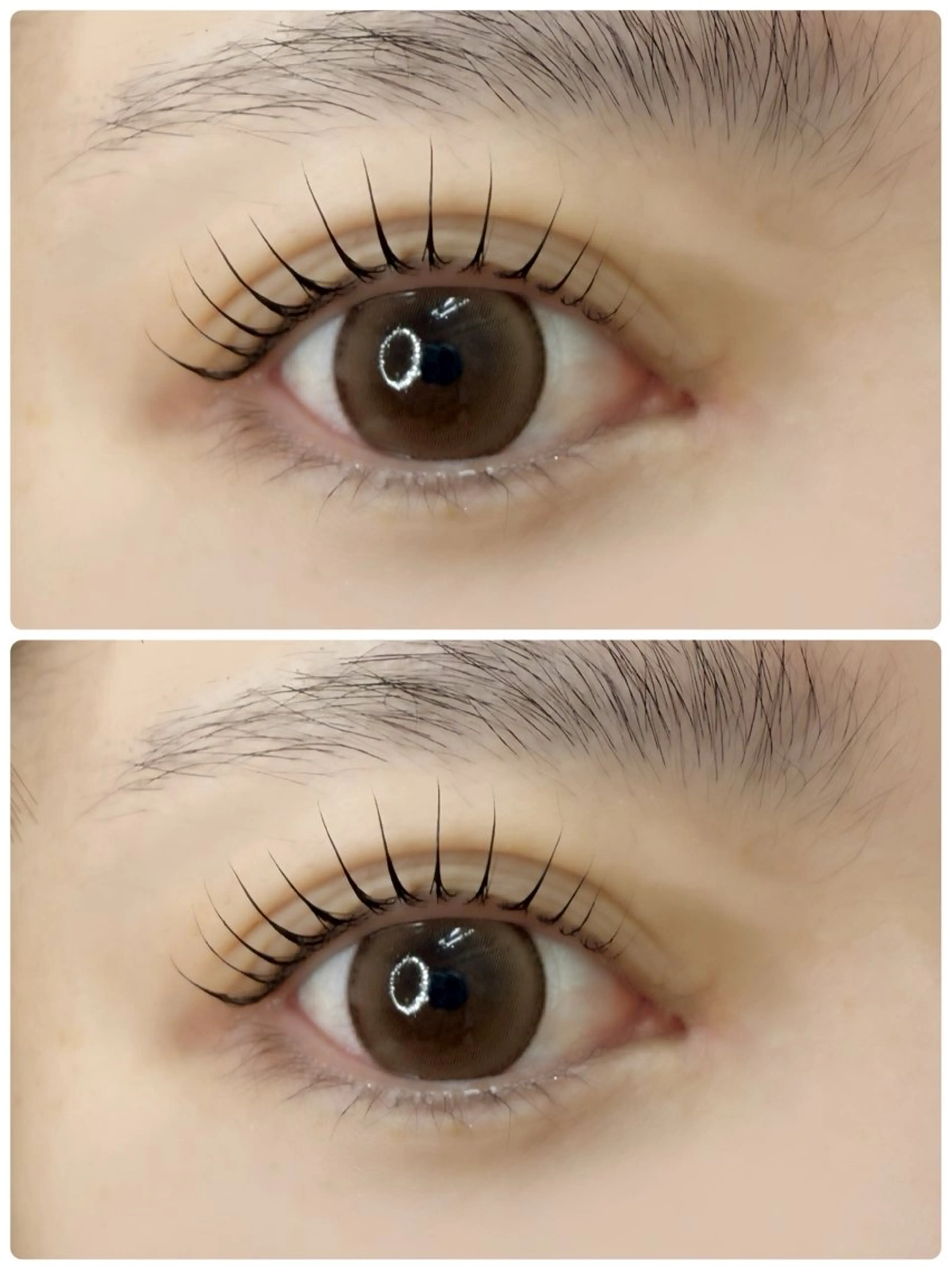 パリジェンヌラッシュリフト⭐️コーティング付⭐️+500円でケラチントリートメント付◎の写真