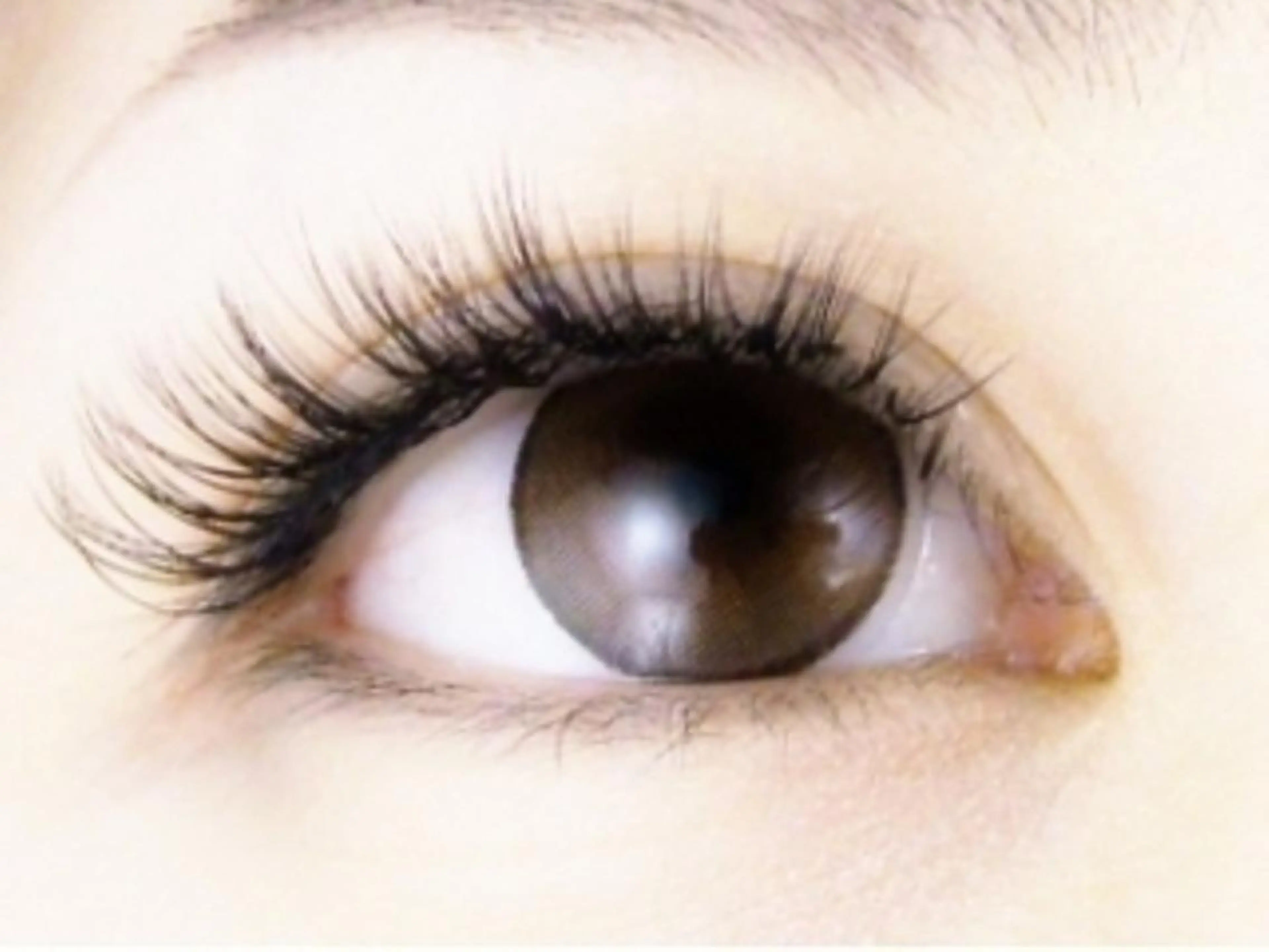 マツエク・マツパ ボリュームラッシュ mila.池袋LED エクステ・イガラシのマツエク・マツパデザイン