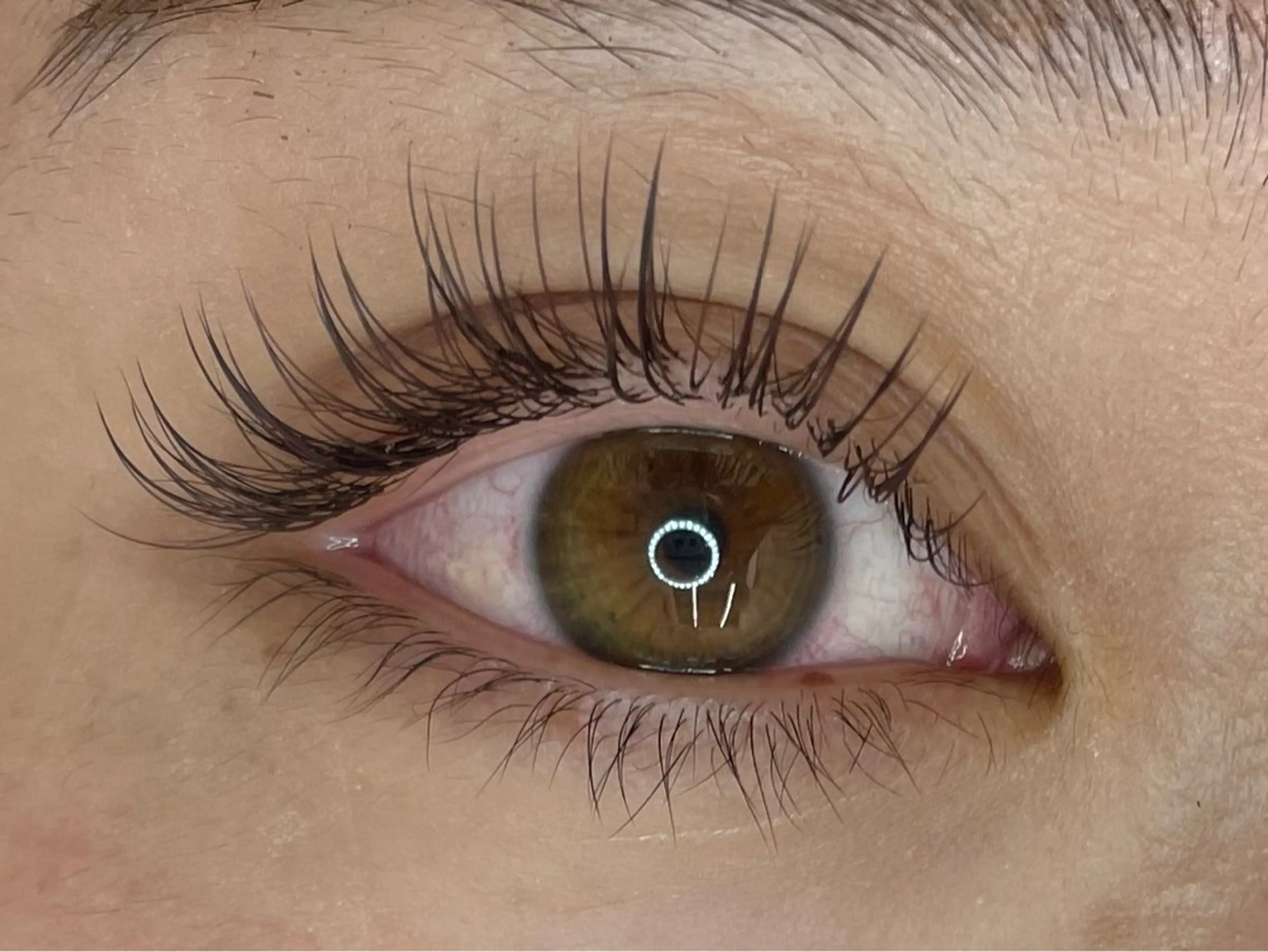 フラットラッシュつけ放題の写真