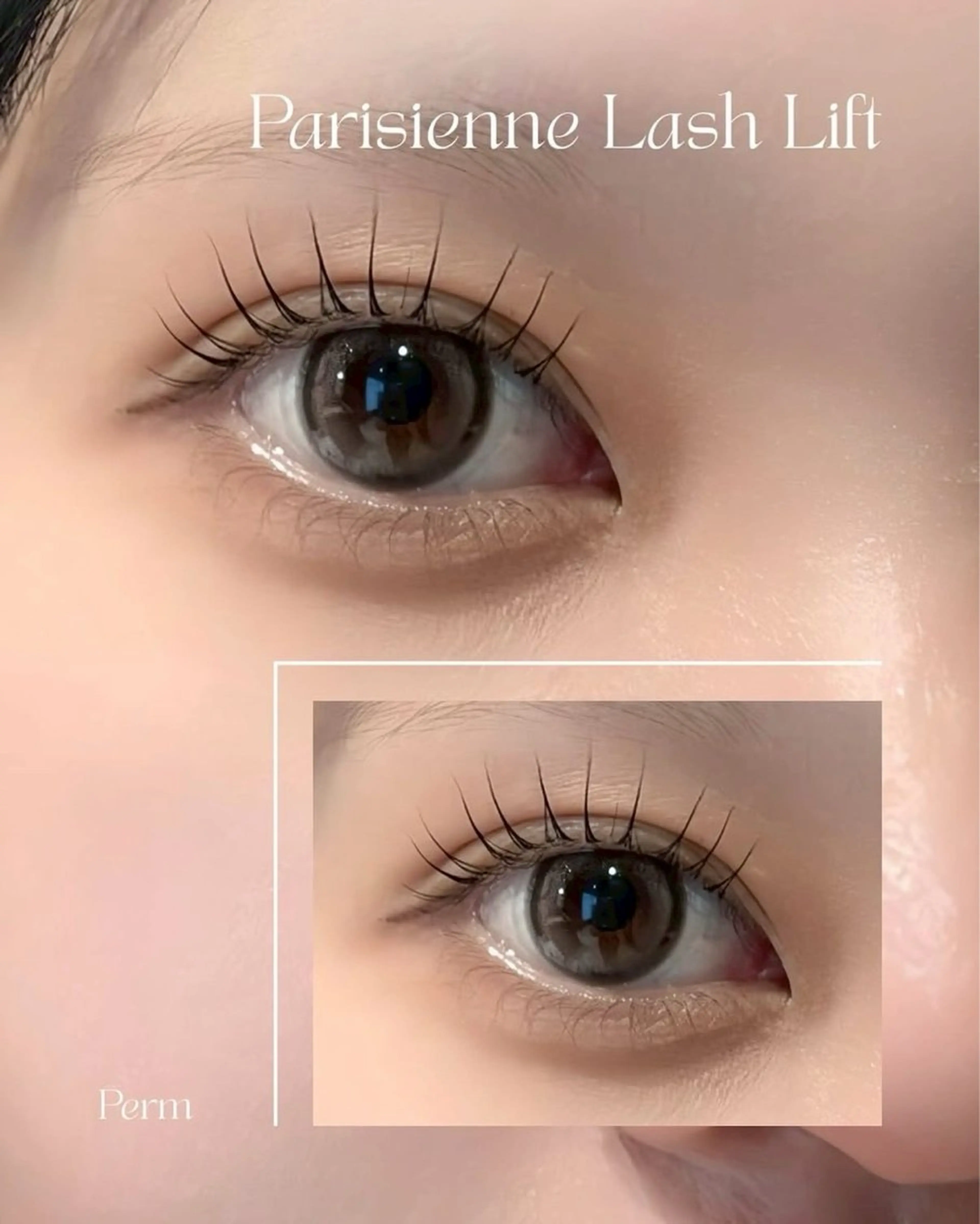 マツエク・マツパ マツパ まつ毛パーマ/眉毛 SAKI 16° 栄の眉毛・アイブロウイメージ