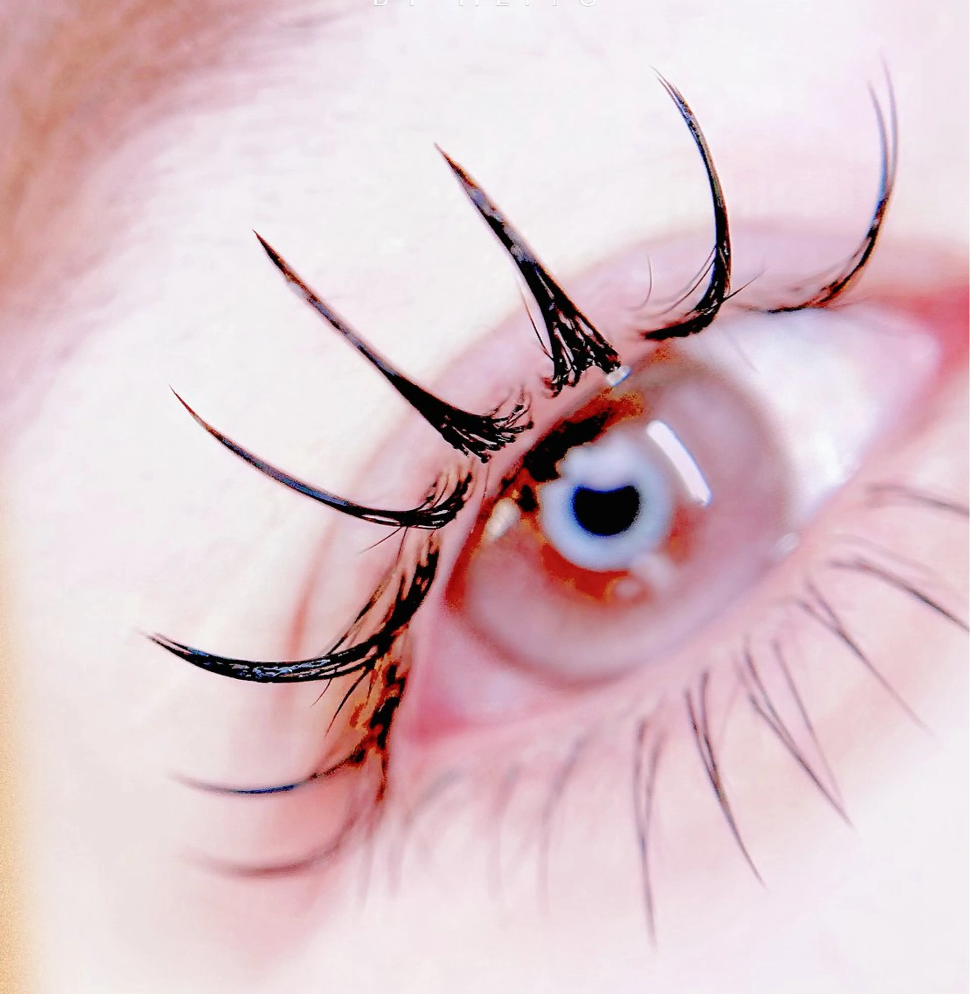 マツエク・マツパ マツエク 🎀eyelist. mizuki🐈‍⬛の眉毛・アイブロウイメージ