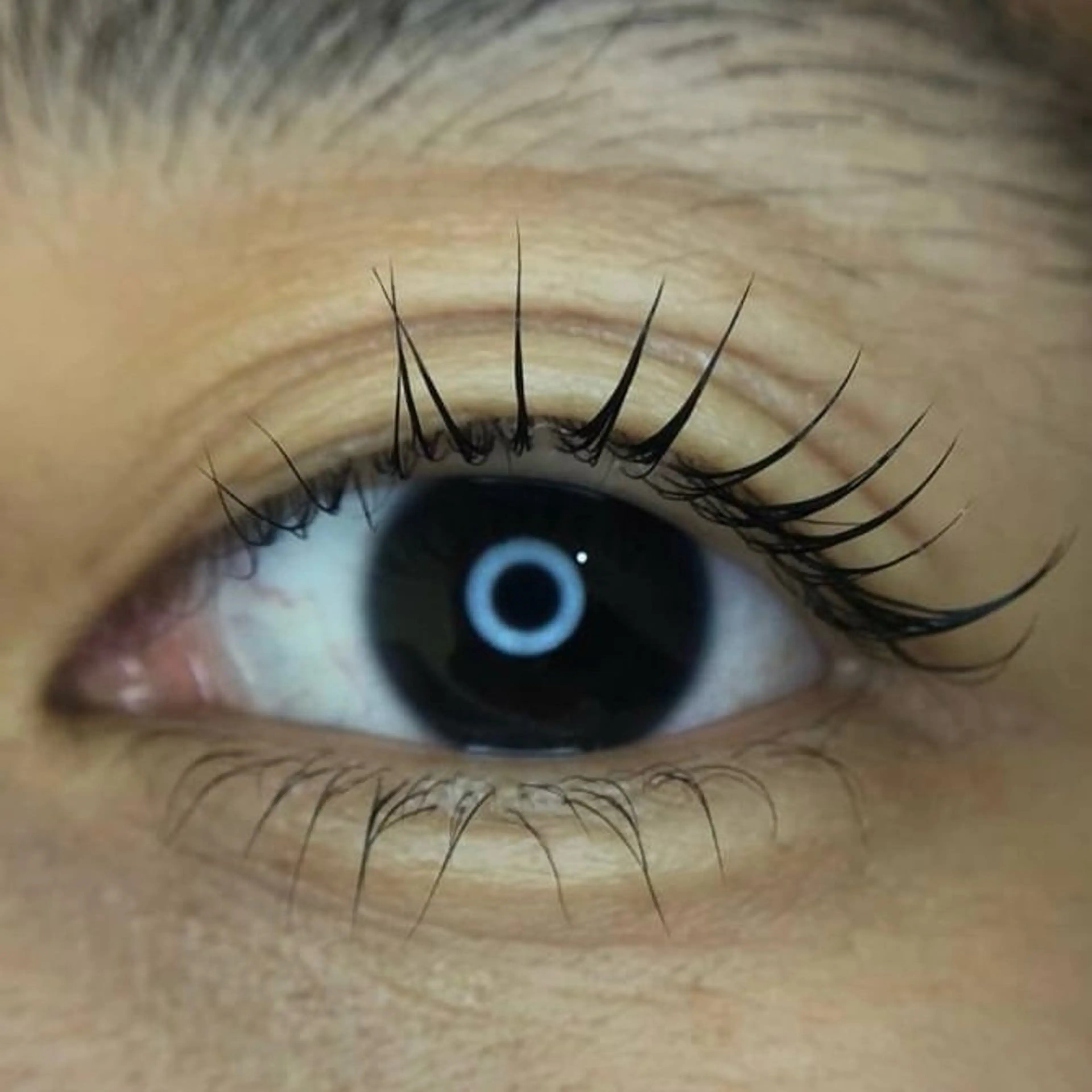 マツエク・マツパ パリジェンヌラッシュリフト 一重×まつ毛パーマ メゾンドシャルム NISHIKAWAのマツエク・マツパデザイン