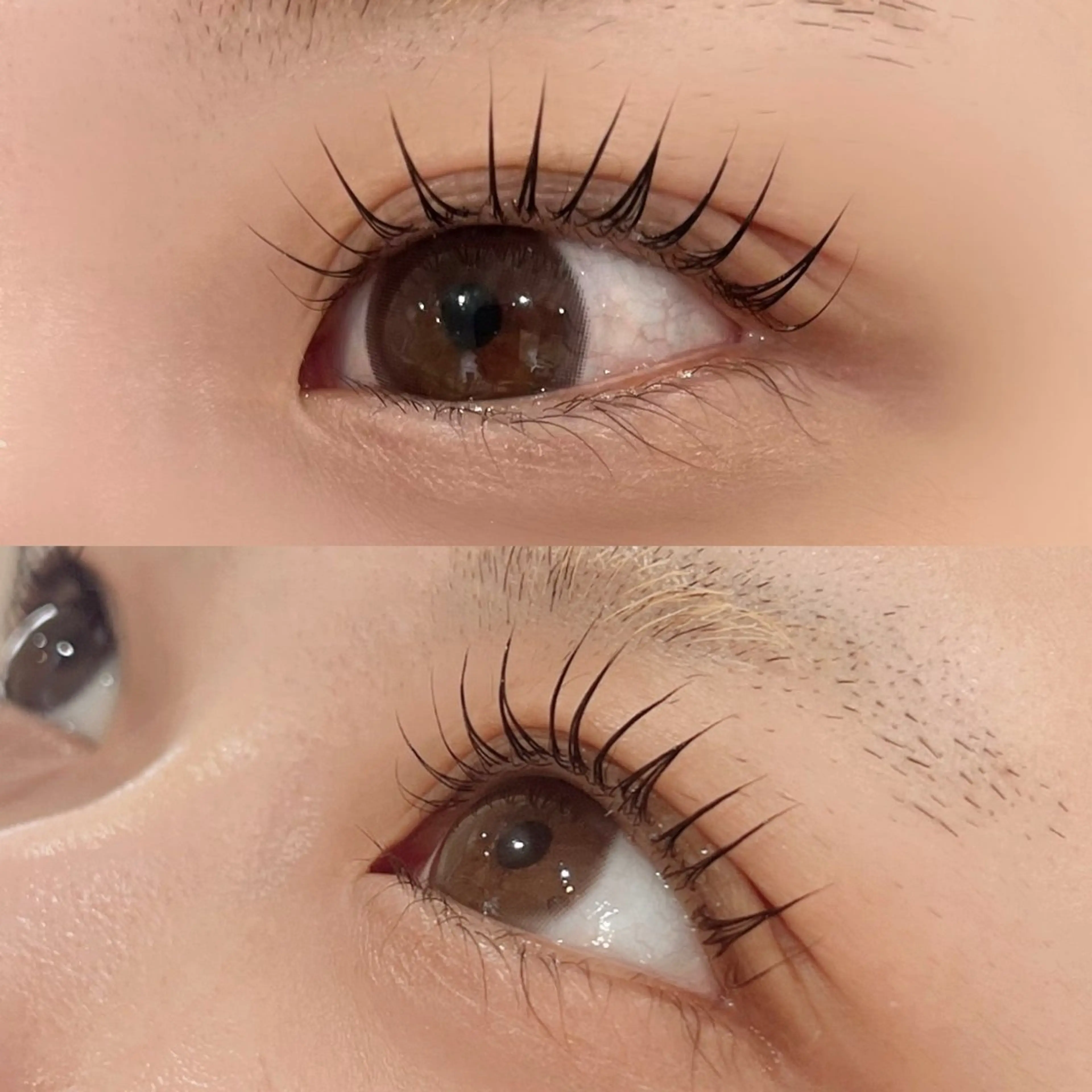 マツエク・マツパ マツパ eyelashZen ♥️HIMEのマツエク・マツパデザイン