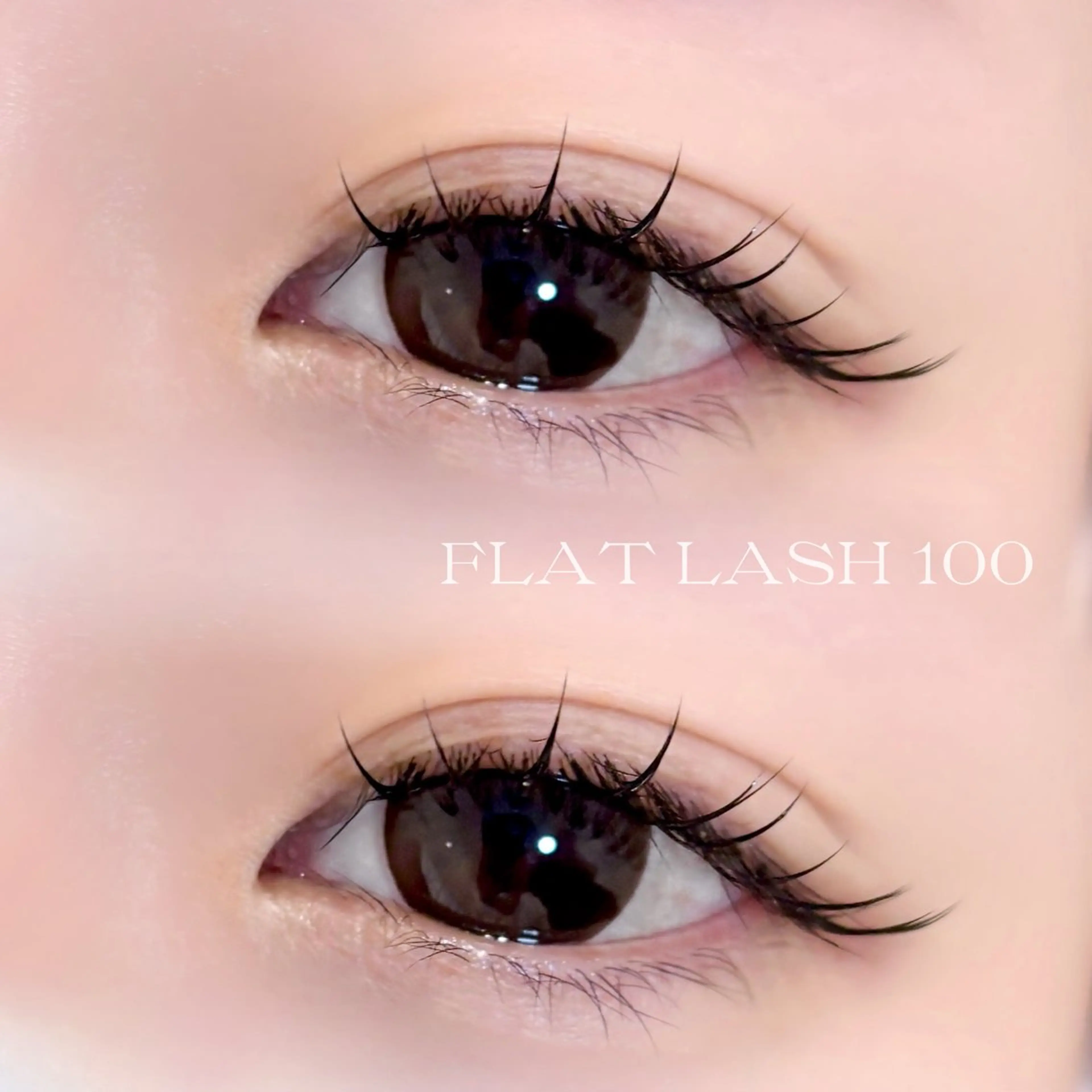 マツエク・マツパ マツエク ayano🤍 新宿のマツエク・マツパデザイン