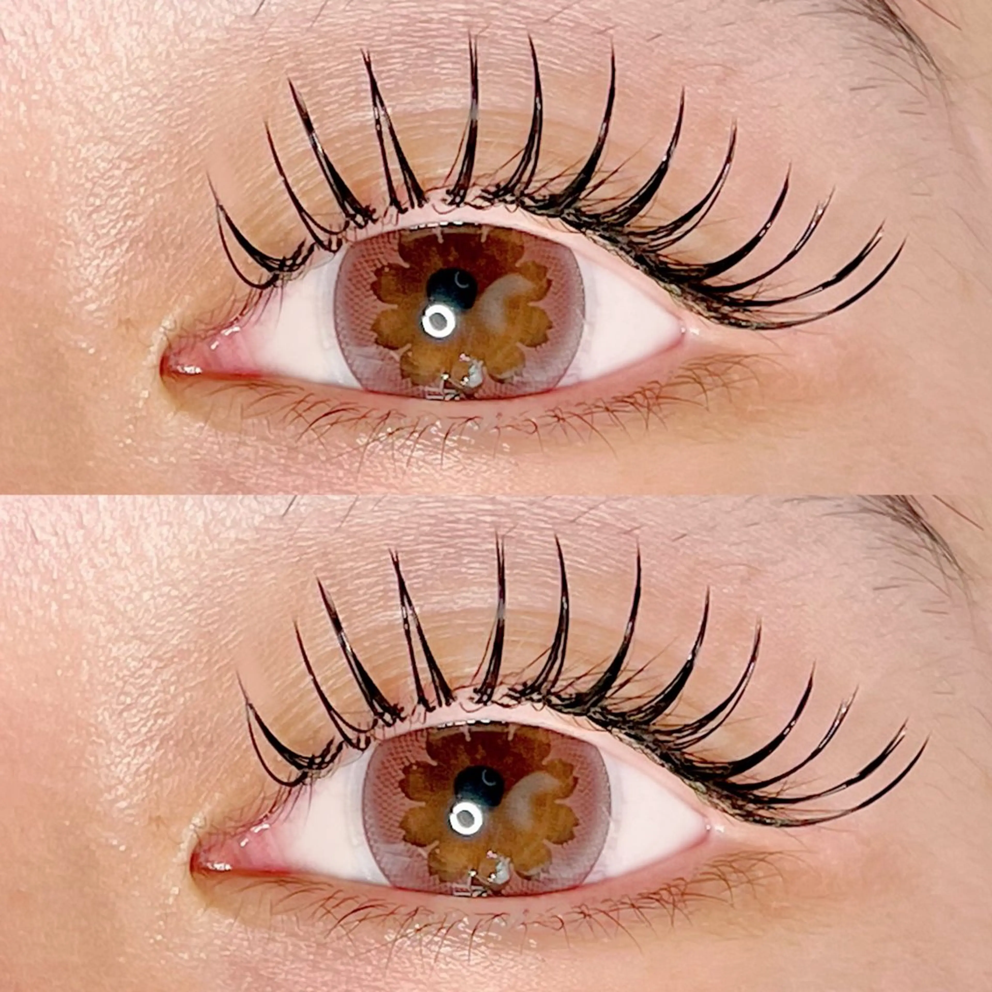 マツエク・マツパ Dカール フラットラッシュ AYLASH🧡 猪又のマツエク・マツパデザイン