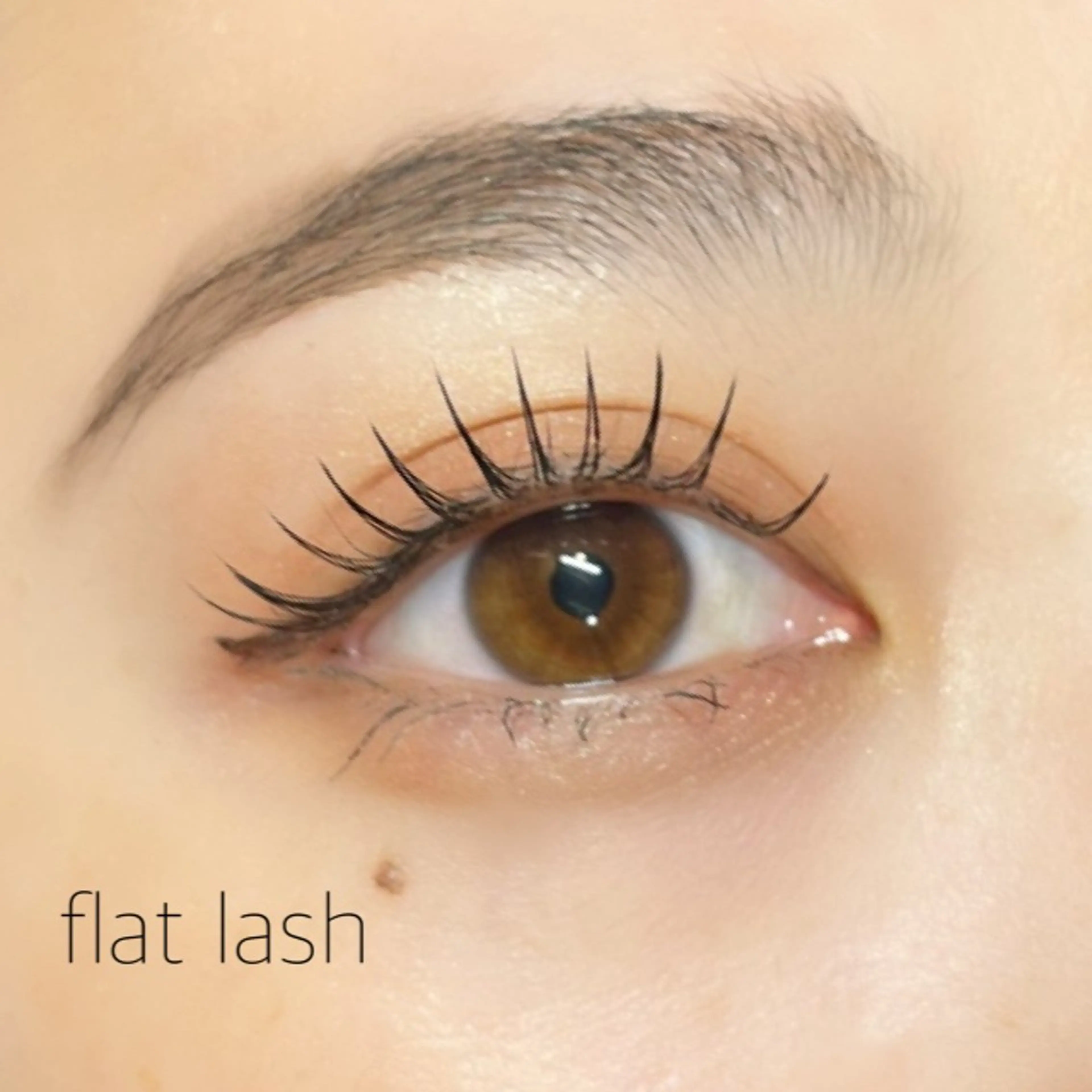 マツエク・マツパ フラットラッシュ マツエク ROSE  MARY 山下🌿のマツエク・マツパデザイン