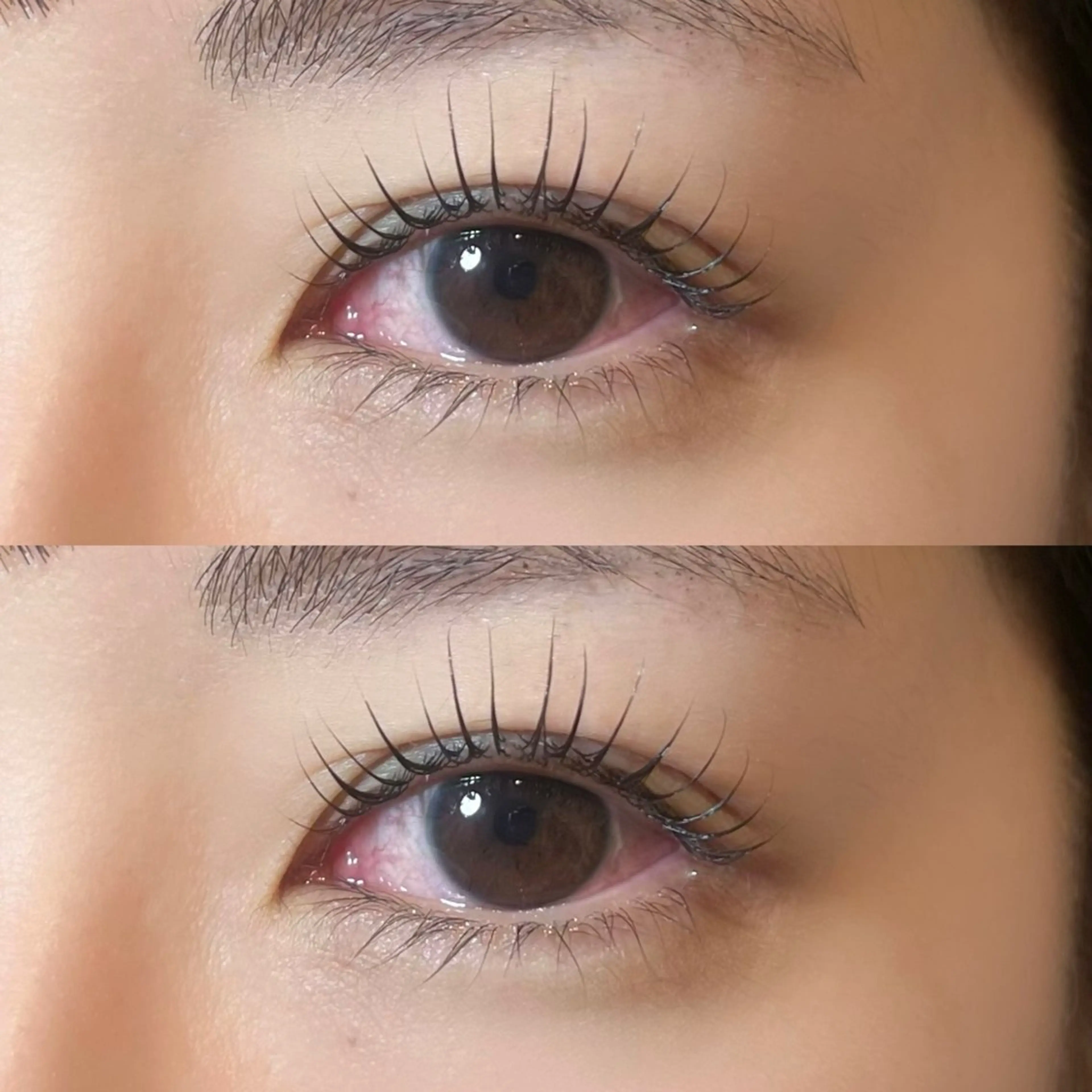 マツエク・マツパ 𝒆𝒊𝒈𝒉𝒕 杏花のマツエク・マツパデザイン