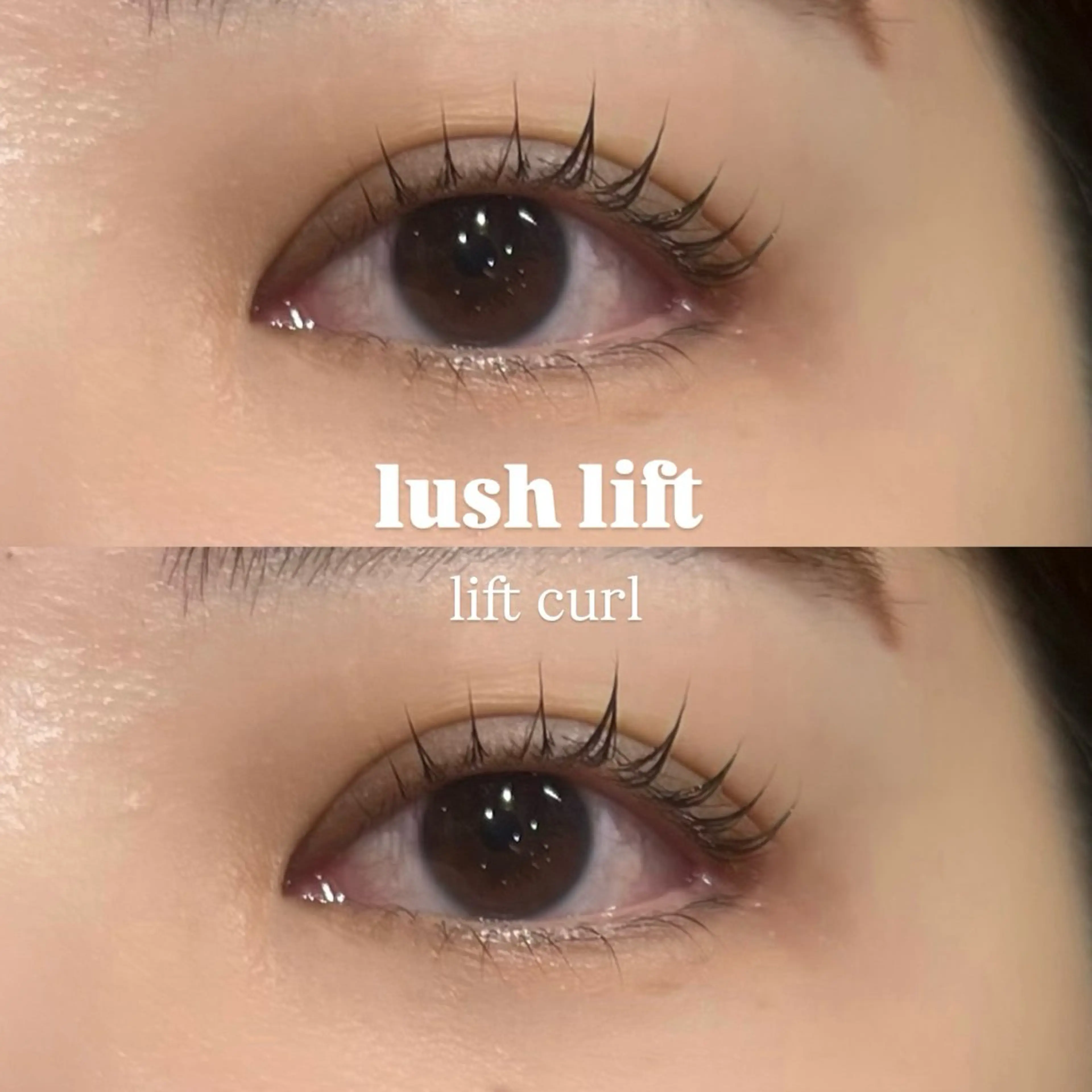 マツエク・マツパ 束感まつ毛 まつげパーマ マツパ 🌿ayaki🌿 en Reveのマツエク・マツパデザイン