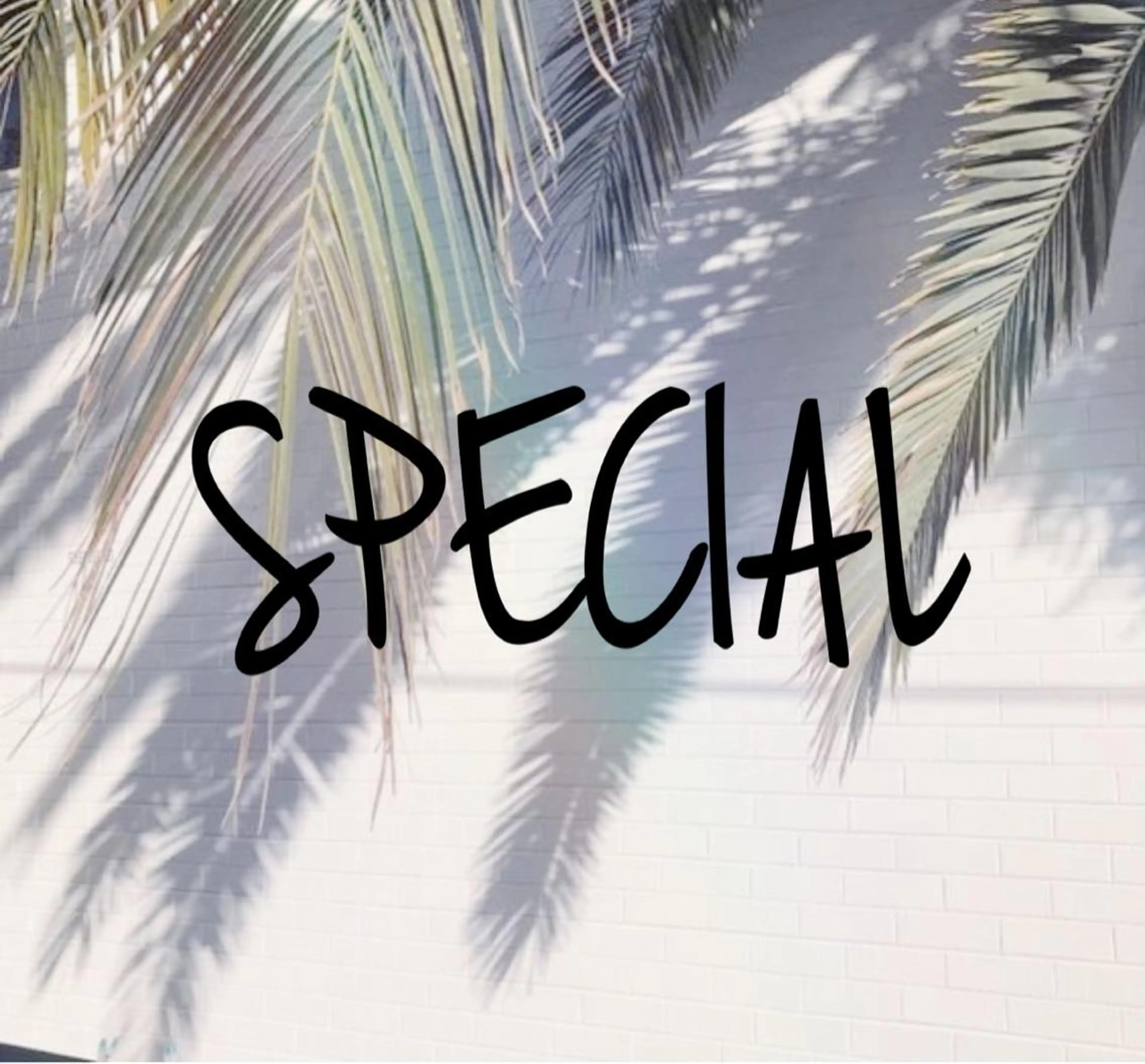 5月🌞フラットラッシュカラー120本💜✨の写真