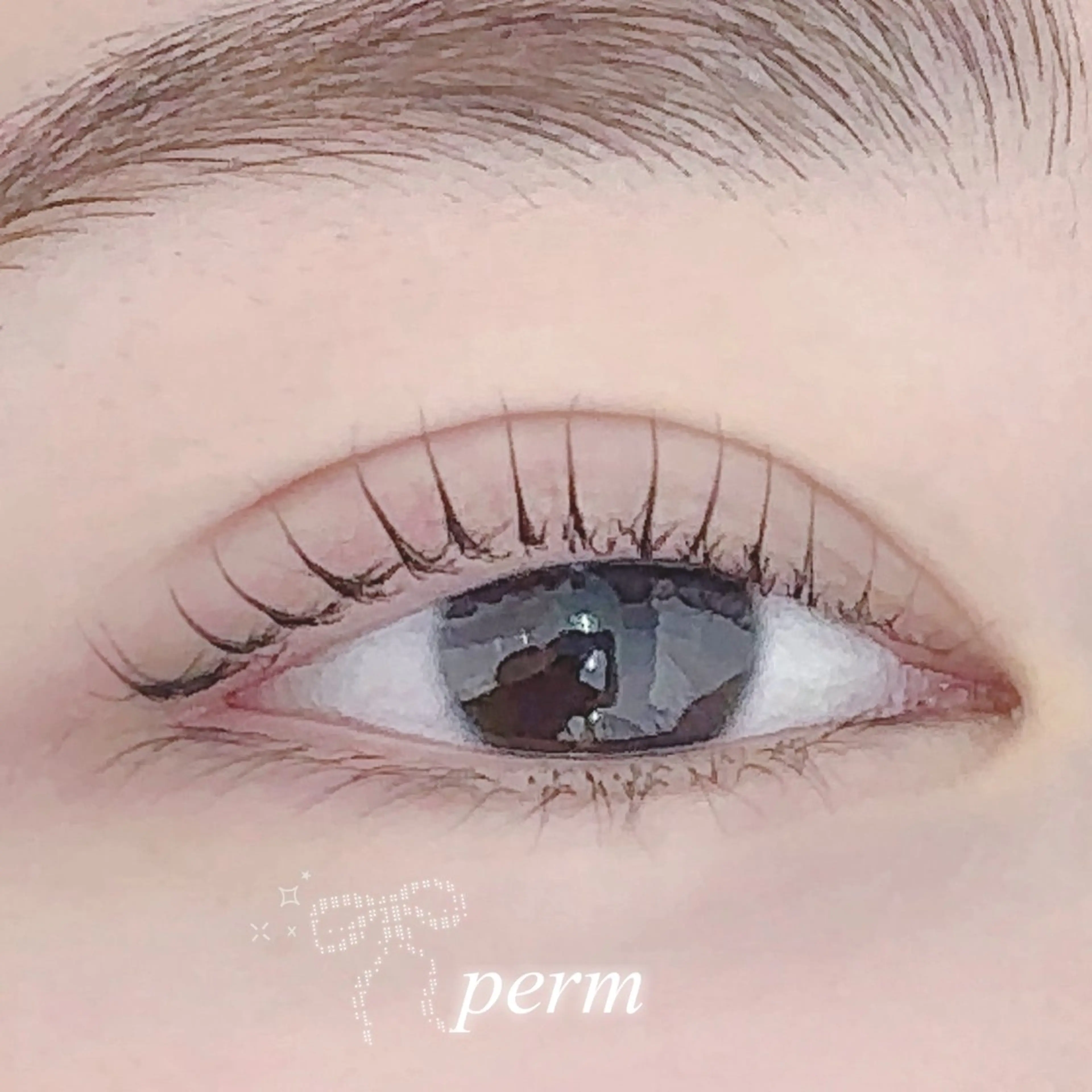 ☁️4月限定☁️3種類から選べる上まつ毛パーマ+トリートメント+コーティング付き💖の写真