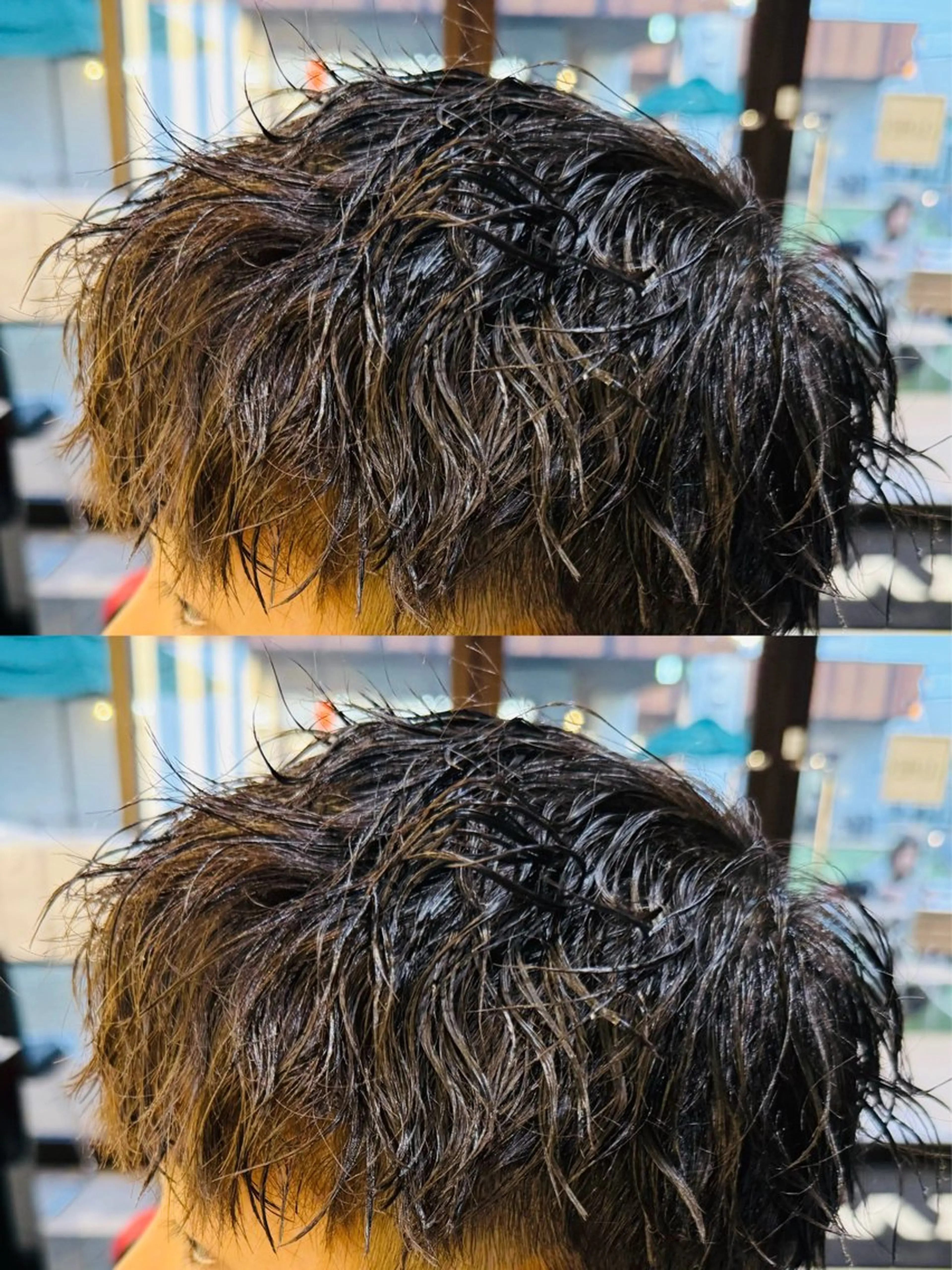 パーマ メンズ レディースモデル募集 無料/田中海斗のヘアスタイル