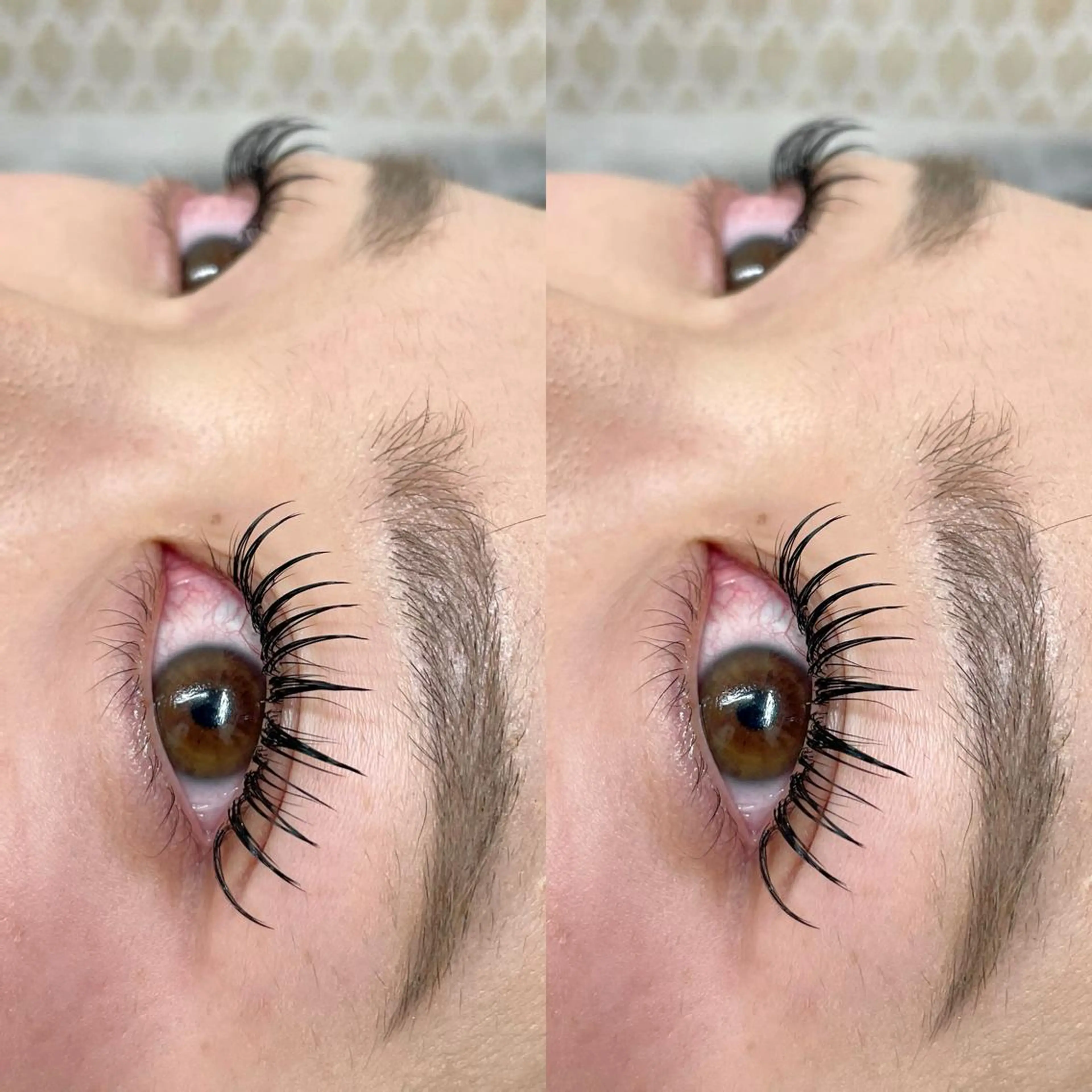 マツエク・マツパ フラットラッシュ BAMBI 🖤KAWAIのマツエク・マツパデザイン