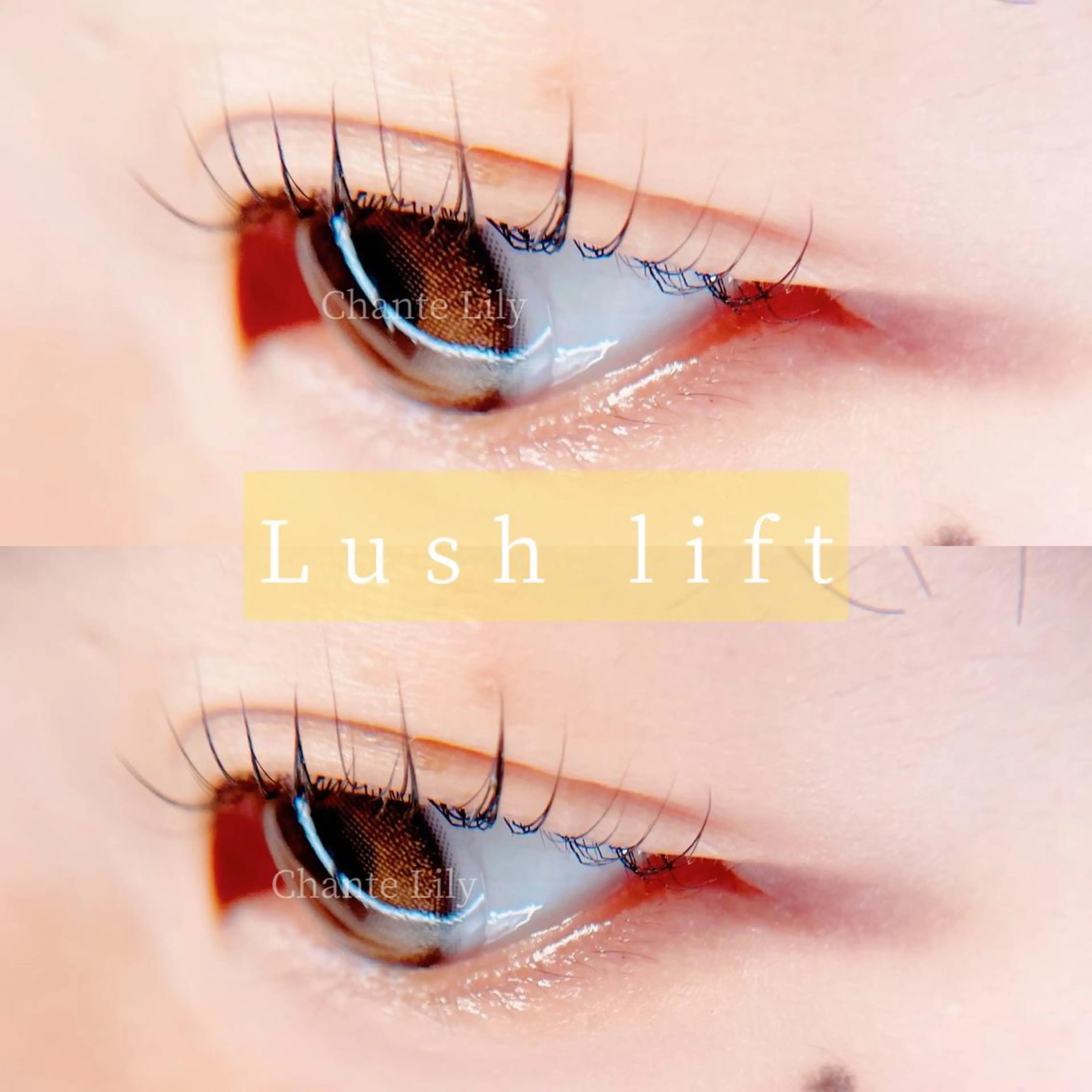 マツエク・マツパ 一重×まつ毛パーマ Chante Lily所属・森崎 麗のマツエク・マツパデザイン