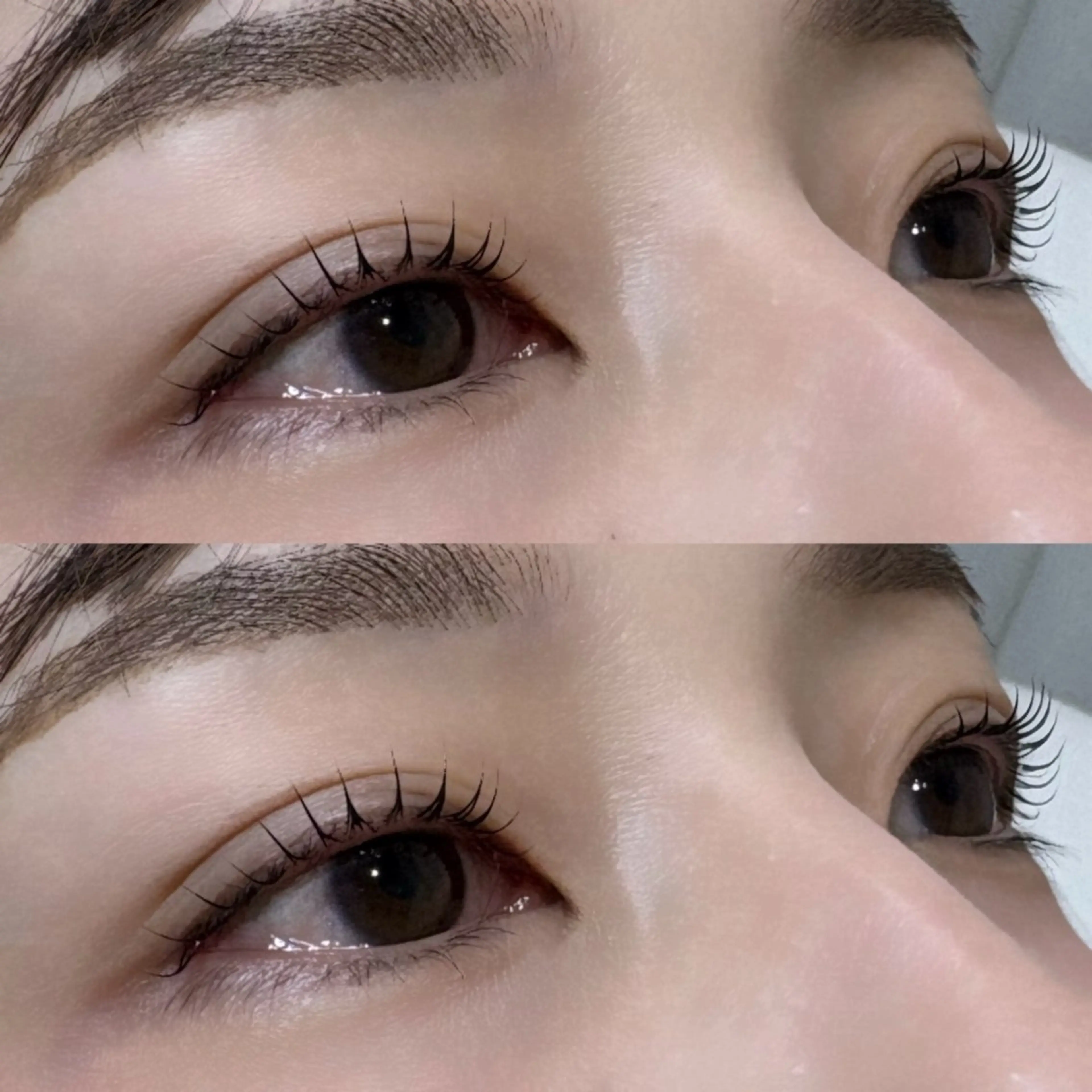 マツエク・マツパ Dカール alm.所属・mayuka🐾 /カラー/まつパのヘアスタイル