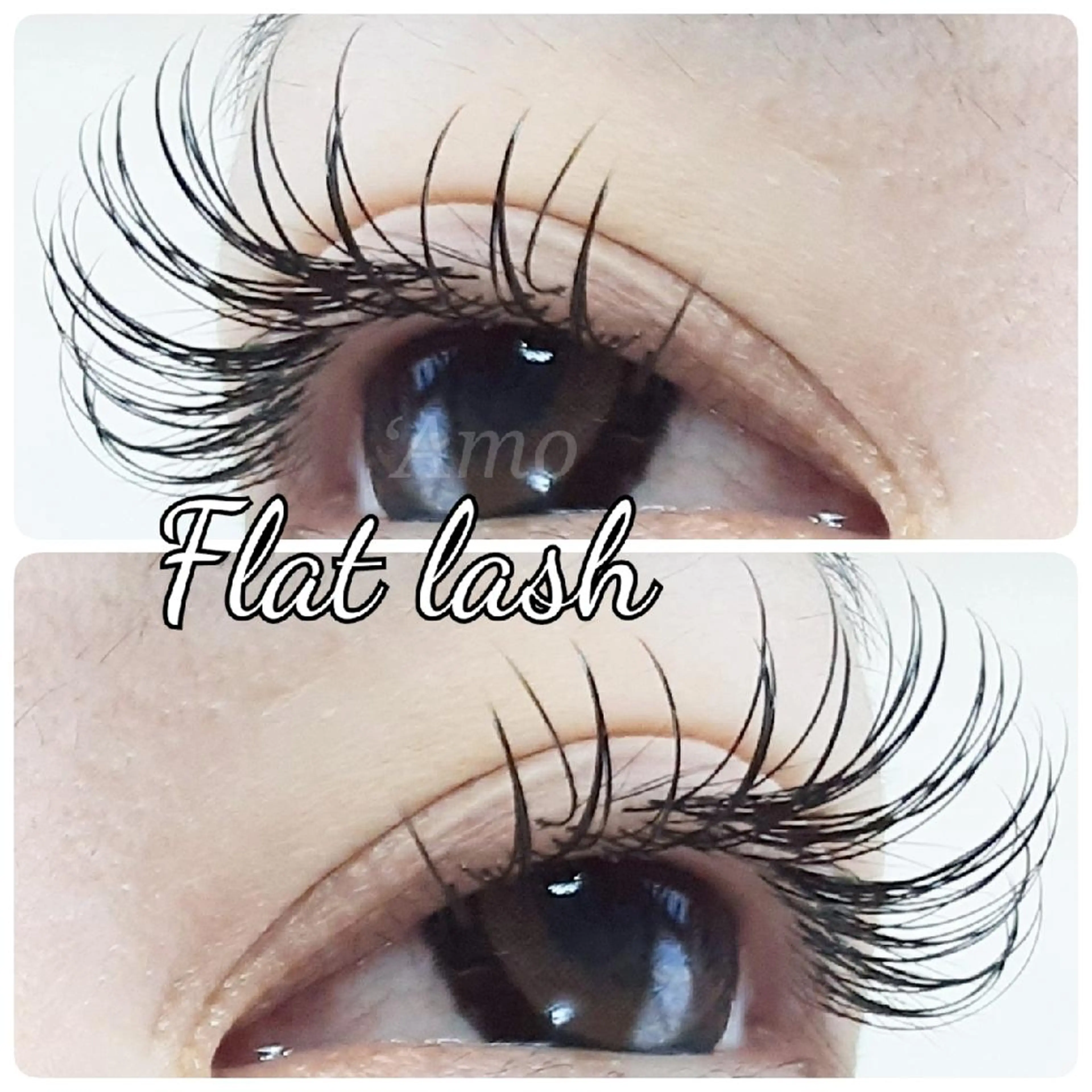 マツエク・マツパ キュート Dカール フラットラッシュ ナチュラル まつげパーマ ‘Amo アモのマツエク・マツパデザイン