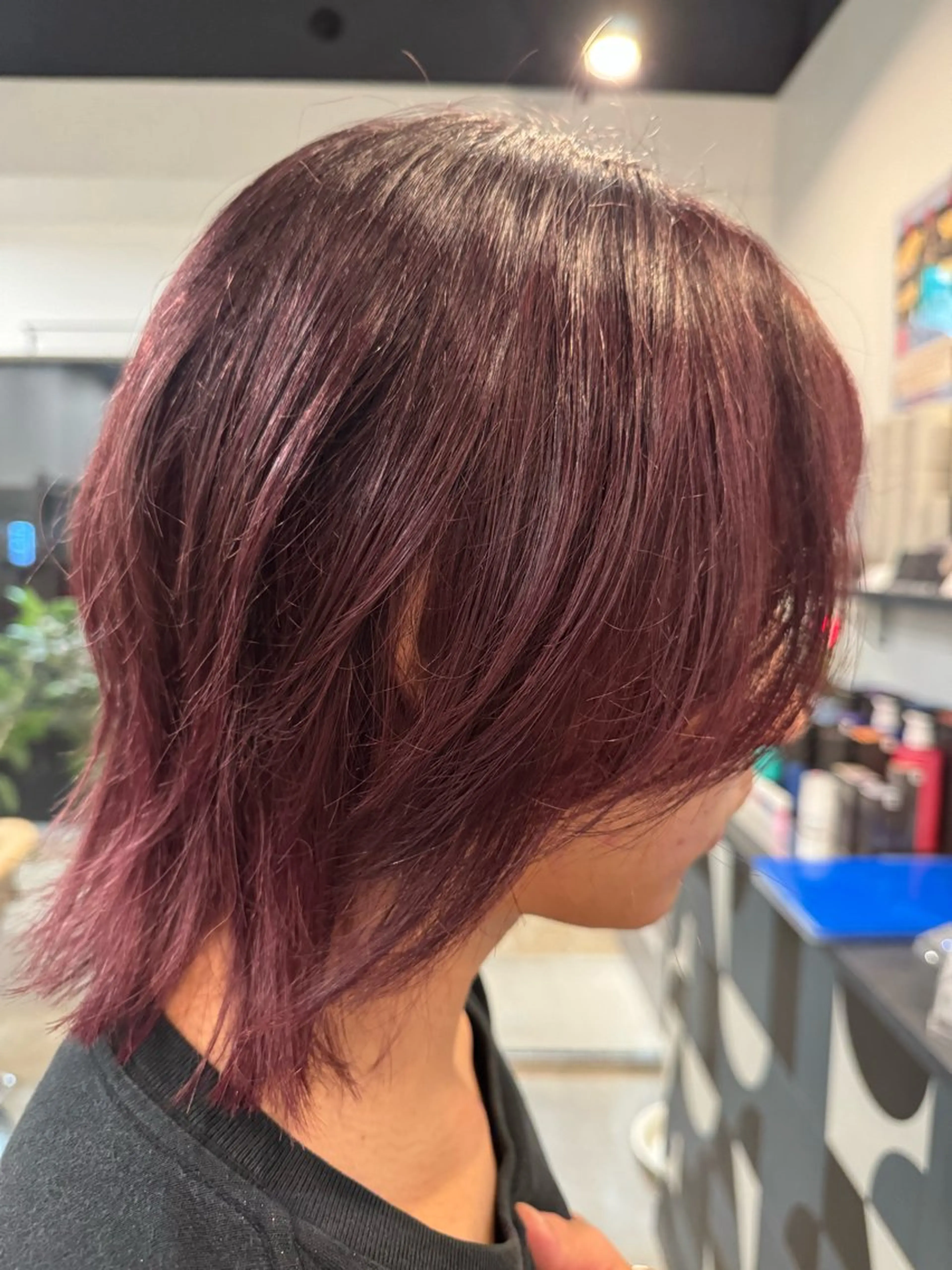 ショート カラー ボルドーカラー カット ヘアカラー dog star 関 海斗のヘアスタイル