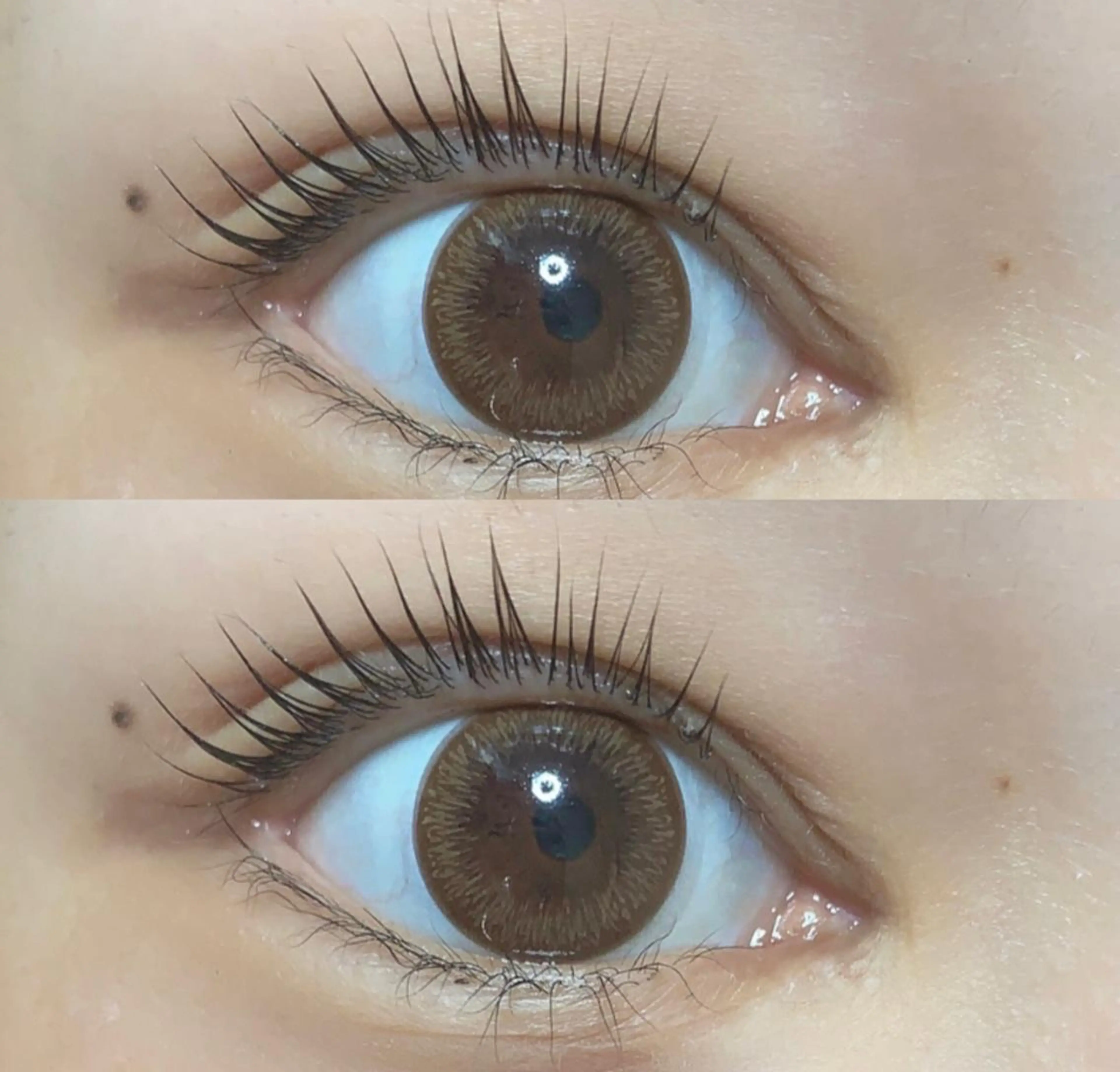 マツエク・マツパ パリジェンヌラッシュリフト ♡tiana juna˖ ࣪⊹のマツエク・マツパデザイン