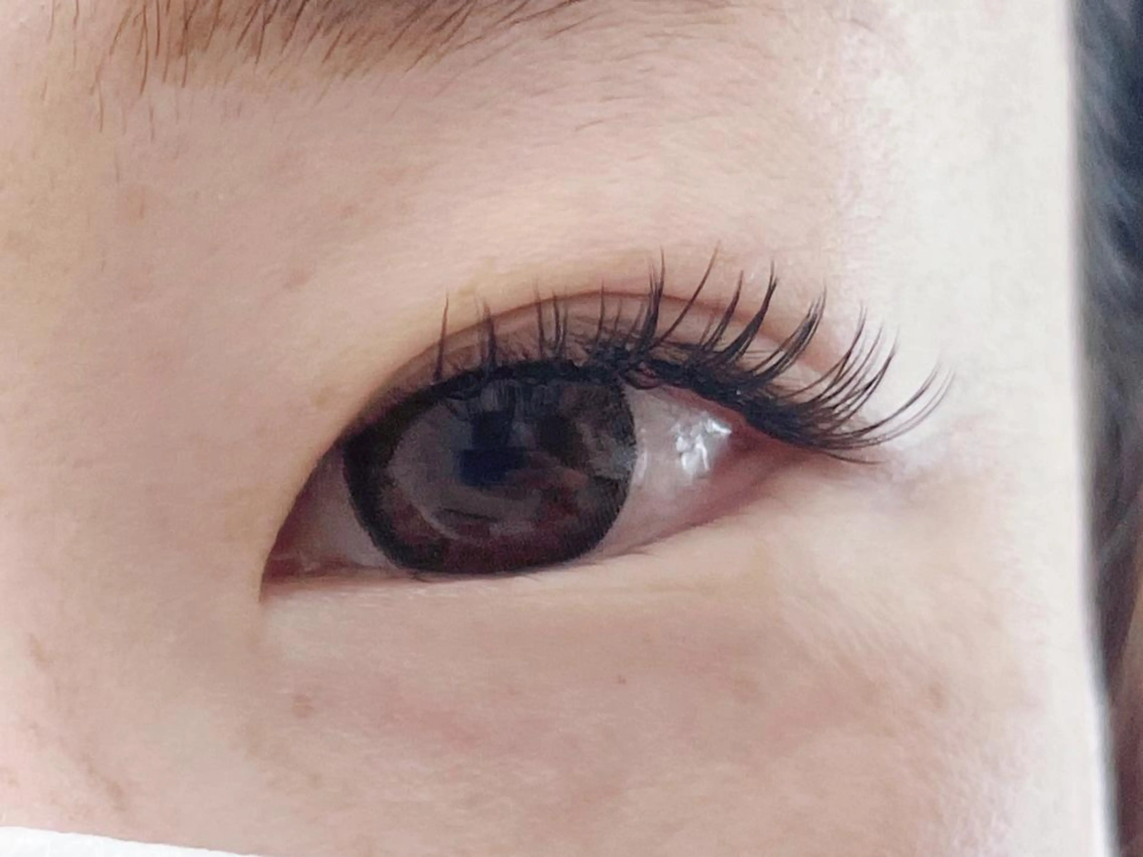 マツエク・マツパ フラットラッシュ eyelash momoのマツエク・マツパデザイン
